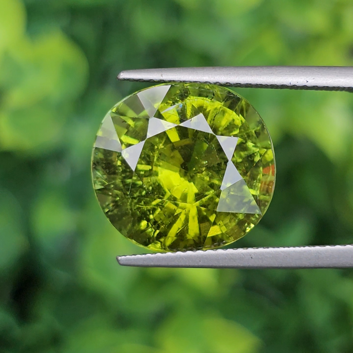 พลอย ทัวร์มาลีน Tourmaline 13.77 กะรัต (Cts.) พลอยแท้อัญมณีมงคล ประจําวันเกิด เครื่องประดับพลอย