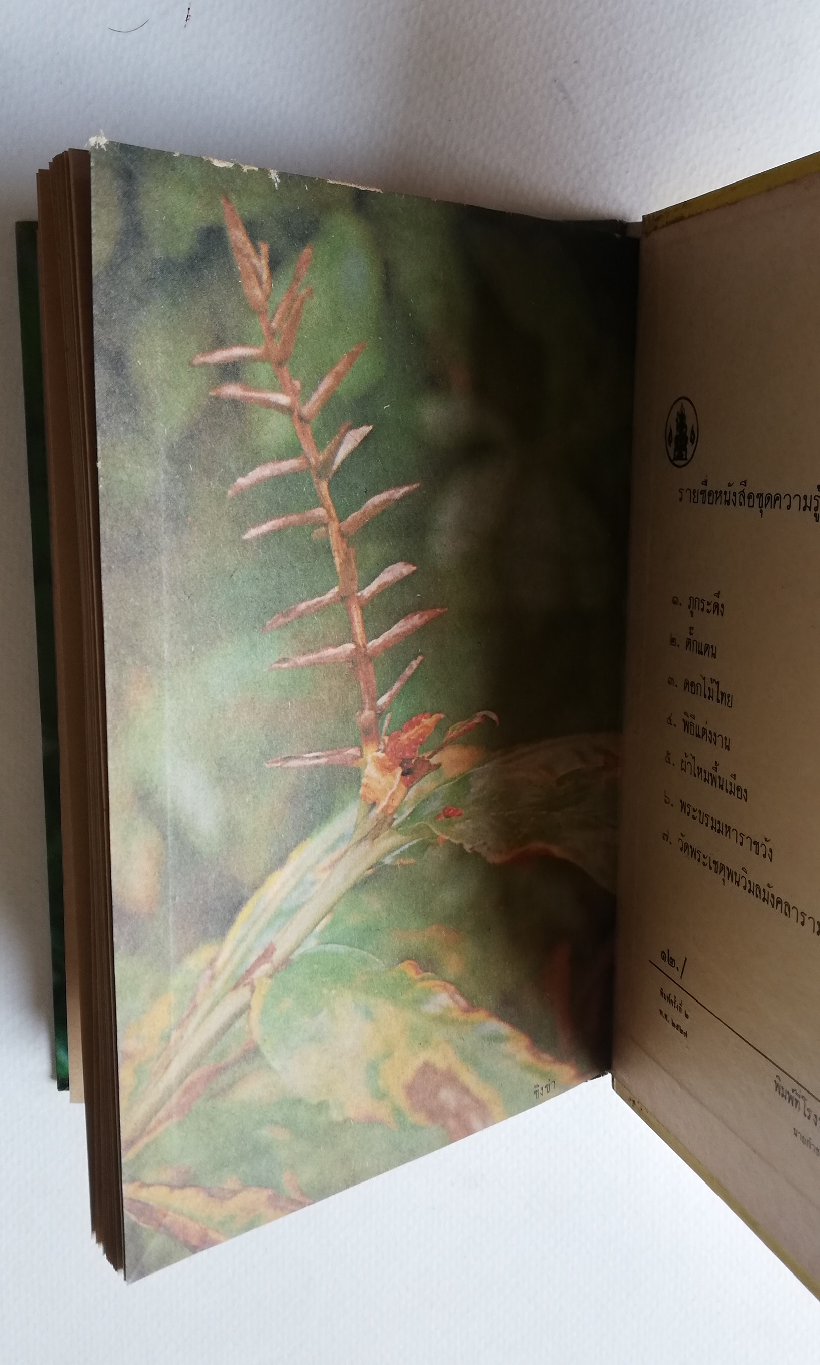 มีหลายภาพ หนังสือเก่ามีตำหนิตามภาพ หนังสือชุดความรู้ไทยเล่มเล็ก ขององค์การค้าของคุรุสภา เรื่อง ดอกไม้ในป่า พิมพ์ครั้งที่ 2 ปี 2527