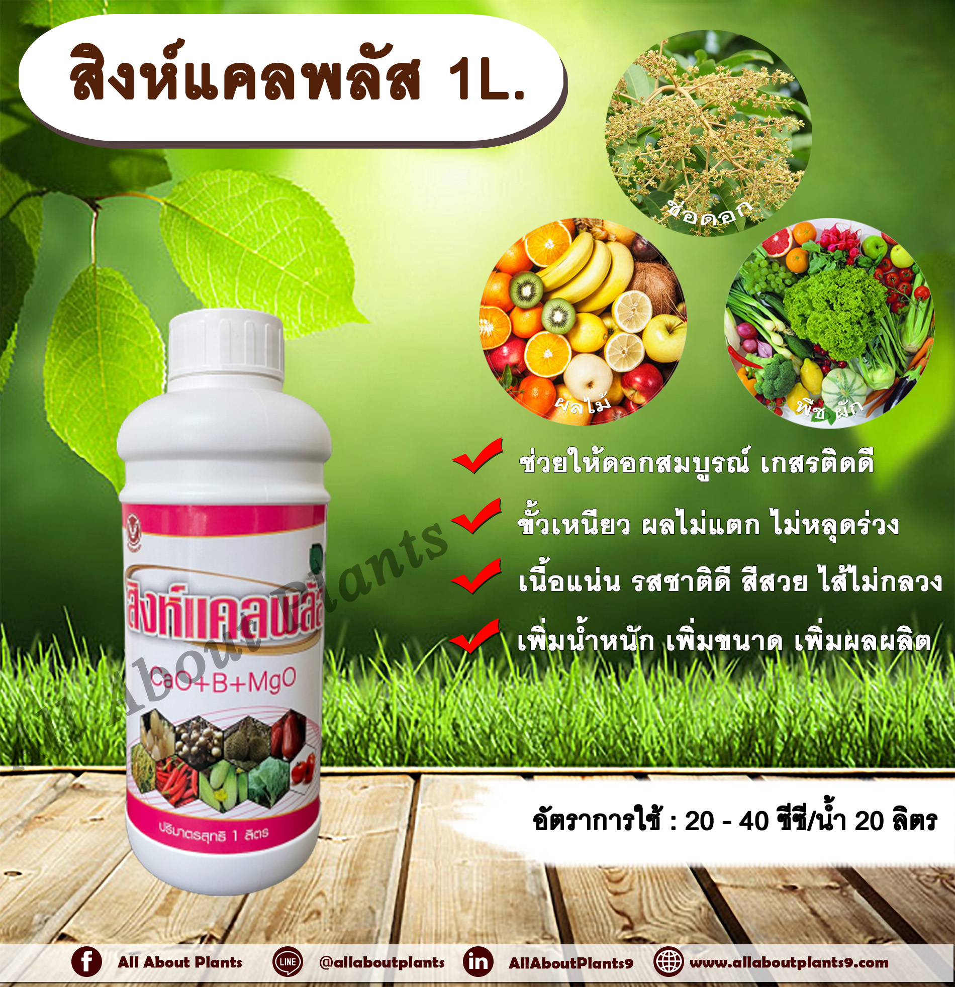 สิงห์แคลพลัส 1L. ธาตุอาหารรอง ธาตุอาหารเสริม ฮอร์โมนพืช แคลเซียม โบรอน ดอกสมบูรณ์ เกสรติดดี ขั้วเหนียว ไส้ไม่กลวง เพิ่มน้ำหนัก เพิ่มขนาด เพิ่มผลผลิต allaboutplants ชิ้น