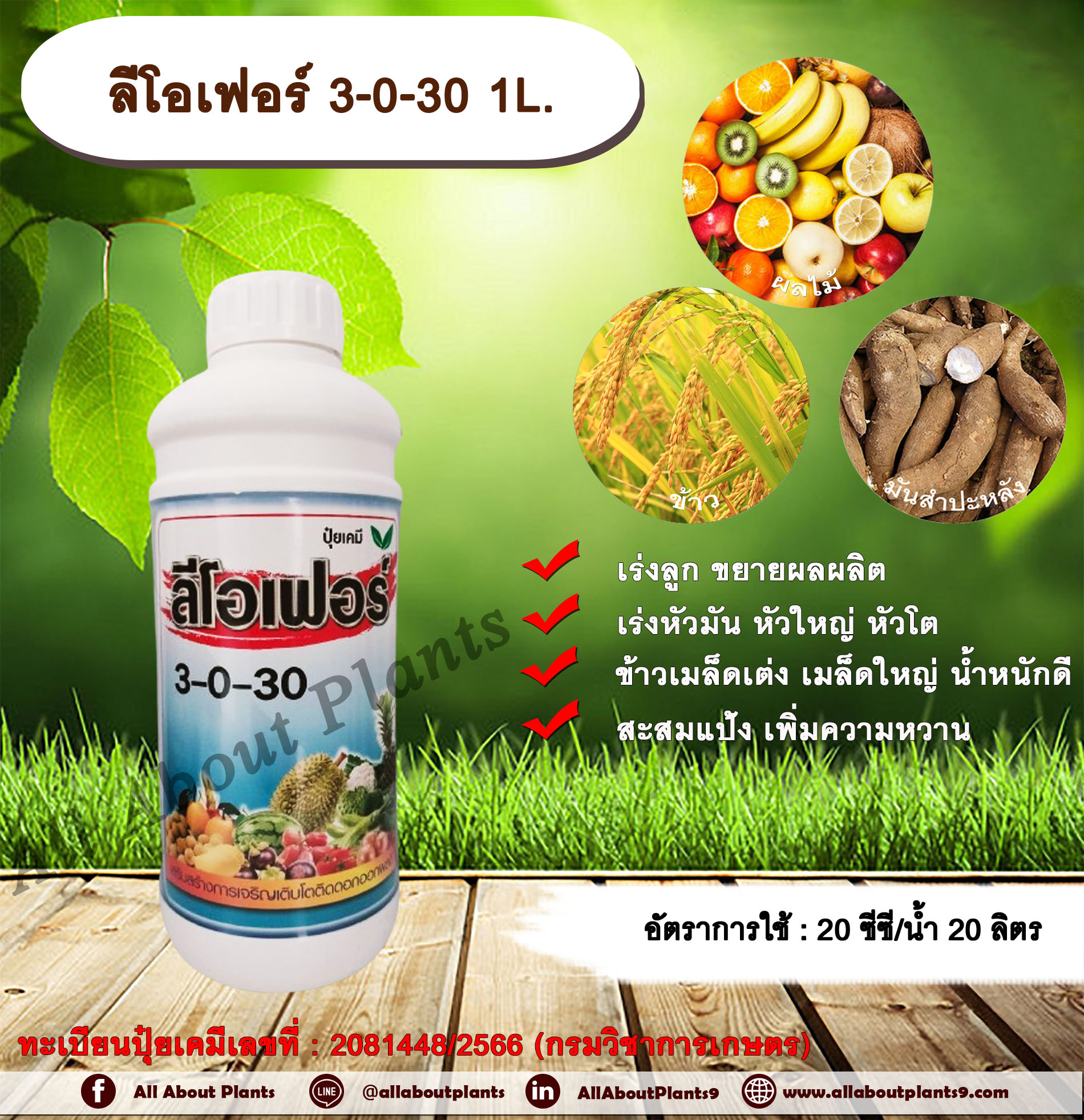 ลีโอเฟอร์ 3-0-30 1L เร่งลูก ขยายผลผลิต เร่งหัวมัน หัวใหญ่ หัวโต ข้าวเมล็ดเต่ง เมล็ดใหญ่ น้ำหนักดี สะสมแป้ง เพิ่มความหวาน ขวด