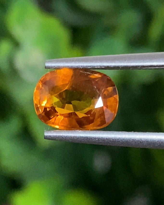 พลอย บุษราคัม Yellow Sapphire 1.61 กะรัต (Cts.) พลอยแท้ อัญมณีมงคลประจําวันเกิด เครื่องประดับพลอย