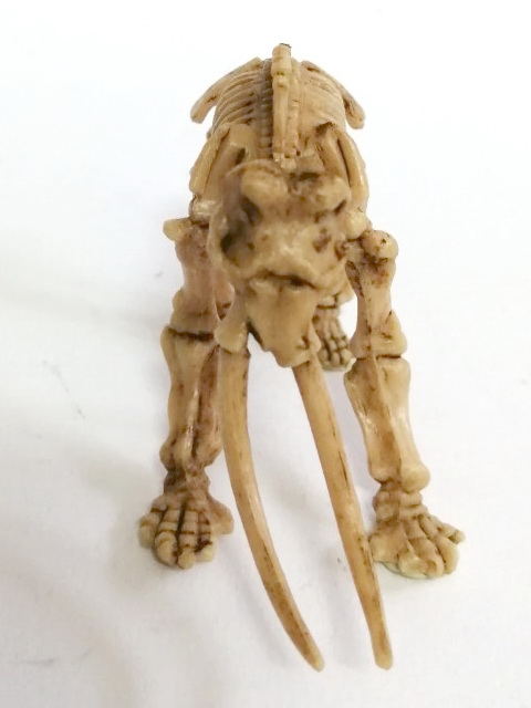 ตุ๊กตายางโครงกระดูกไดโนเสาร์ เป็นงานไขตู้แคปซูล ขายพร้อมกันสองแบบ 1.โครงกระดูกช้างแมมมอส และ 2.อแนทธอซอรัส เป็นยางยืดหนุ่นได้ ไม่ต้องกลัวหัก ลงสีเหมือนฟอสซิลโครงกระดูก ขายคู่