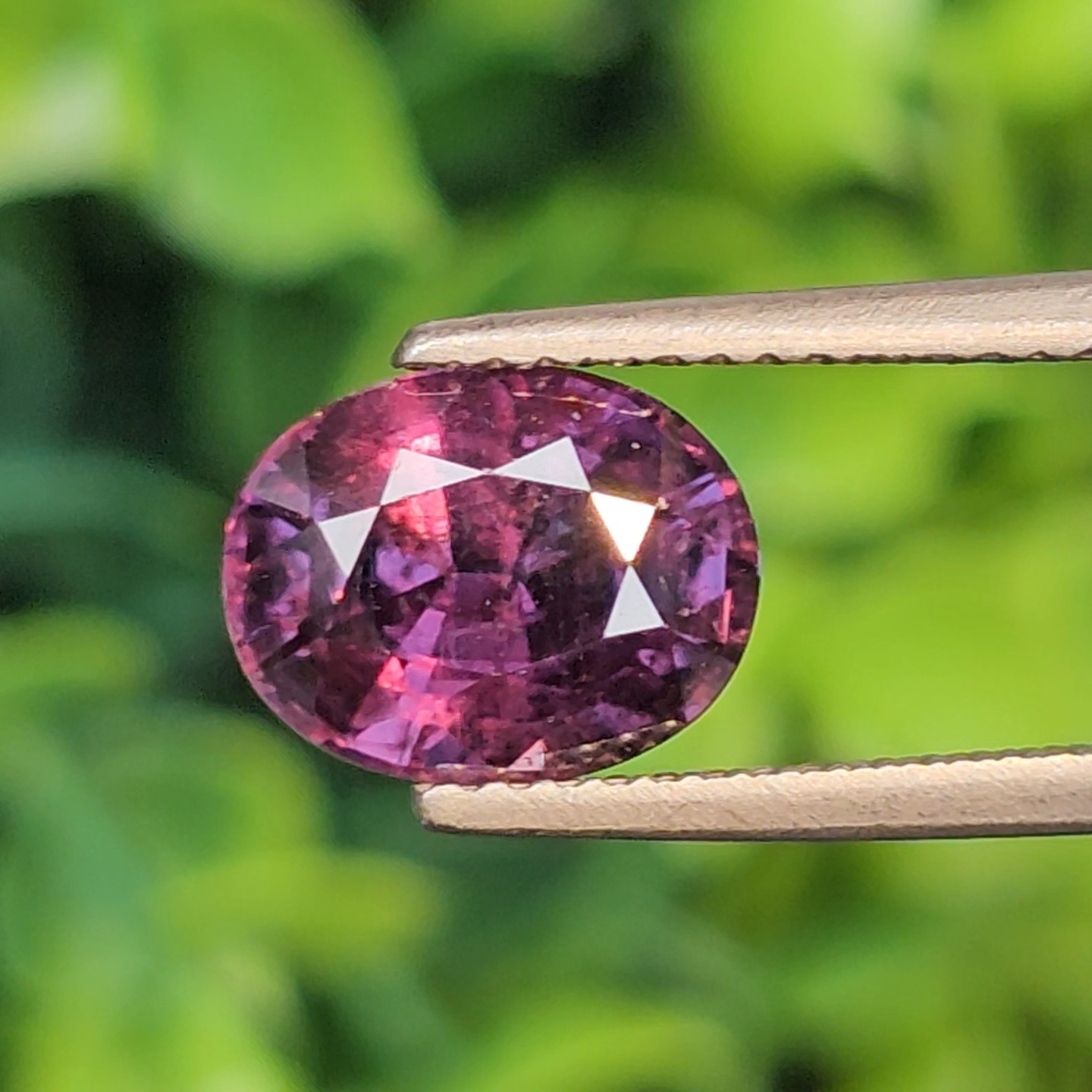 พลอย คัลเลอร์เชนจ์ แซฟไฟร์ Color Change Sapphire 3.40 กะรัต (Cts.) พลอยแท้ อัญมณีมงคลประจําวันเกิด เครื่องประดับพลอย