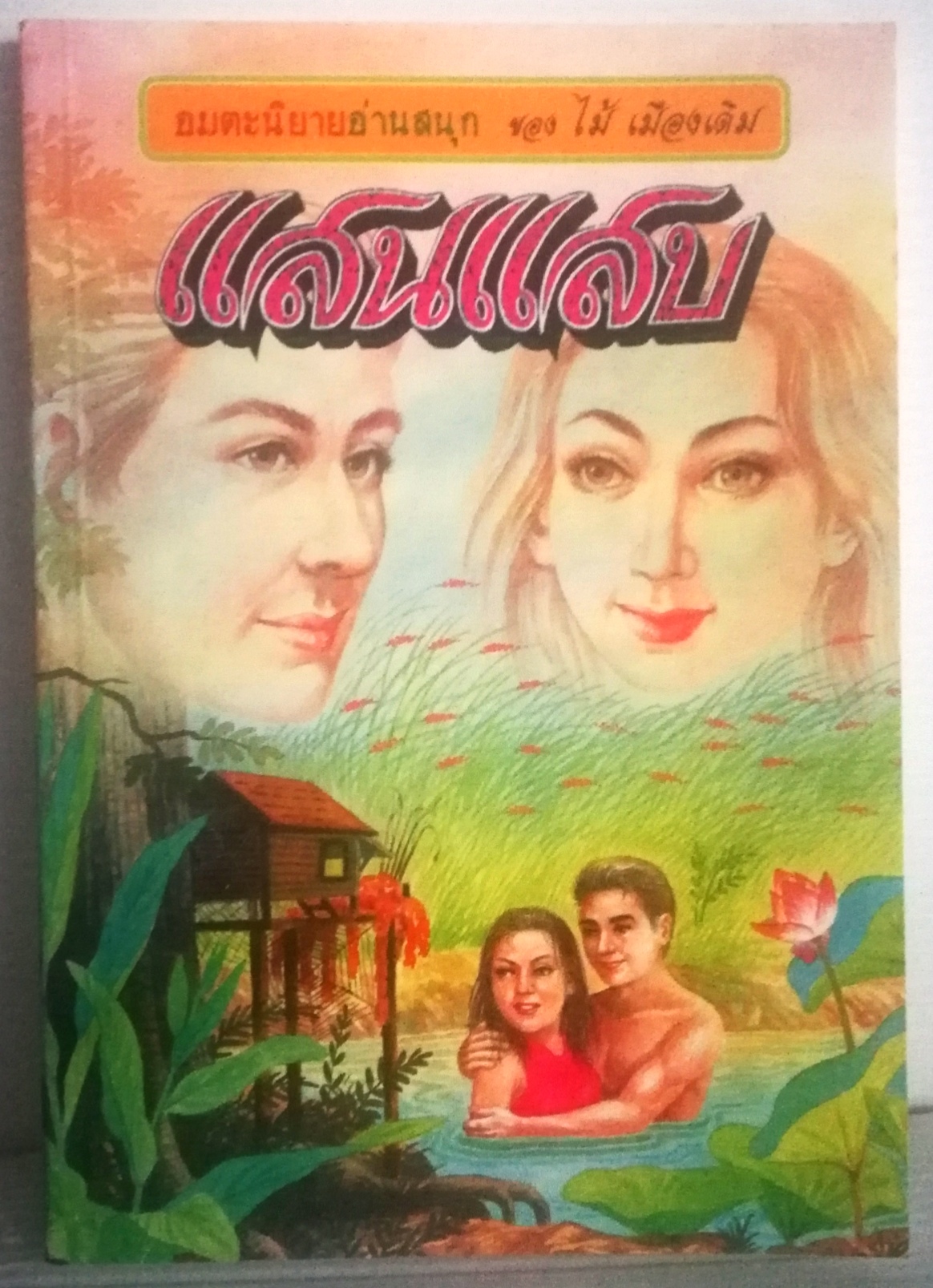 อมตะนิยายอ่านสนุก ของ ไม้ เมืองเดิม, แสนแสบ