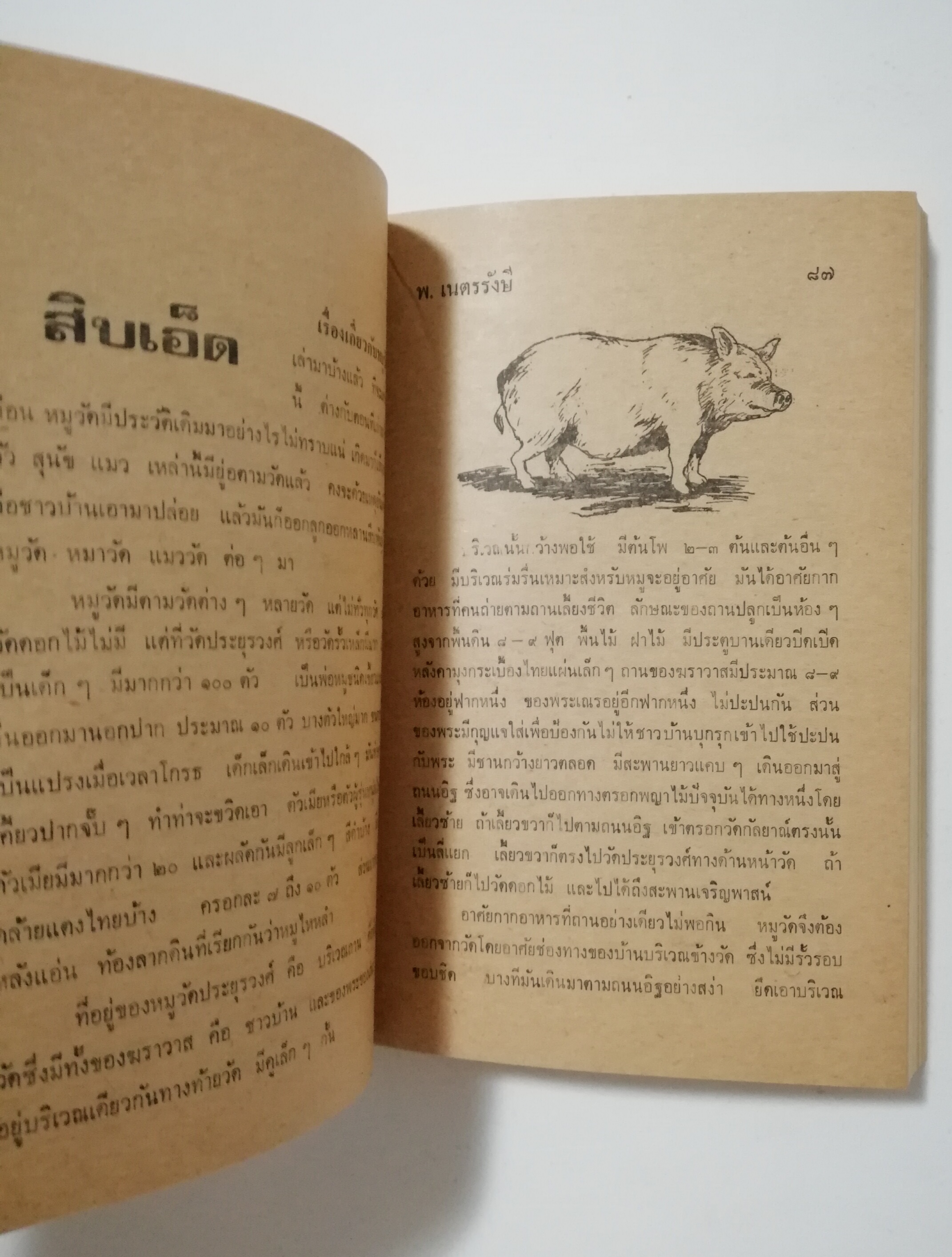 หนังสือเก่า นิยายเชิงอัตชีวประวัติของ พ.เนตรรังษี "หนุ่มนักเรียน" พร้อมภาพประกอบในเล่ม ปีที่พิพม์ ตุลาคม 2526 **มีตำหนิตามภาพ