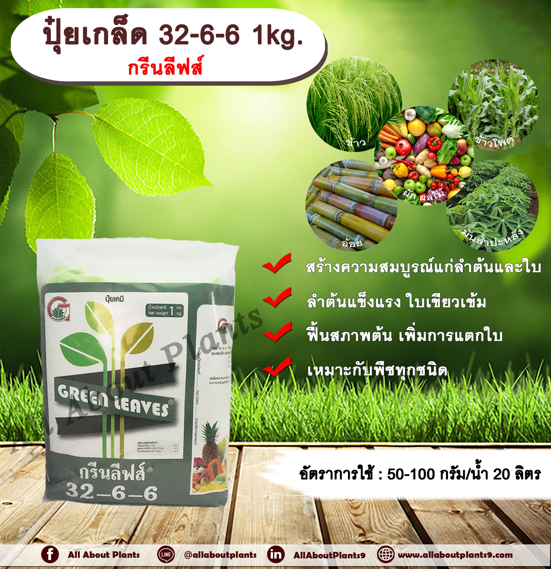 ปุ๋ยเกล็ด กรีนลีฟส์ สูตร 32-6-6 1kg. ปุ๋ยเกล็ดฉีดพ่นทางใบ เร่งต้น เร่งใบ เร่งโต ออกเถา แตกยอด แตกกอ ปุ๋ยผง NPK allaboutplants ชิ้น