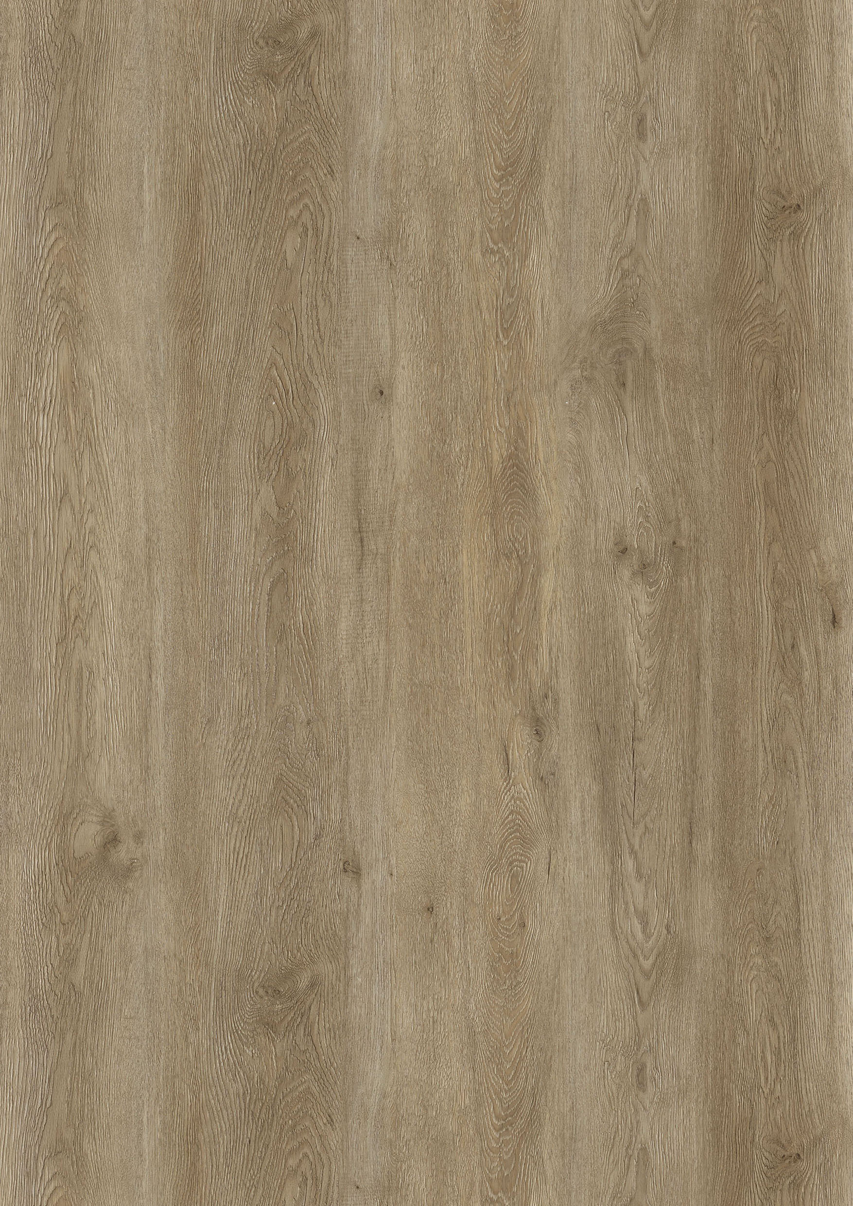 SMP-8003-WG Royal Oak