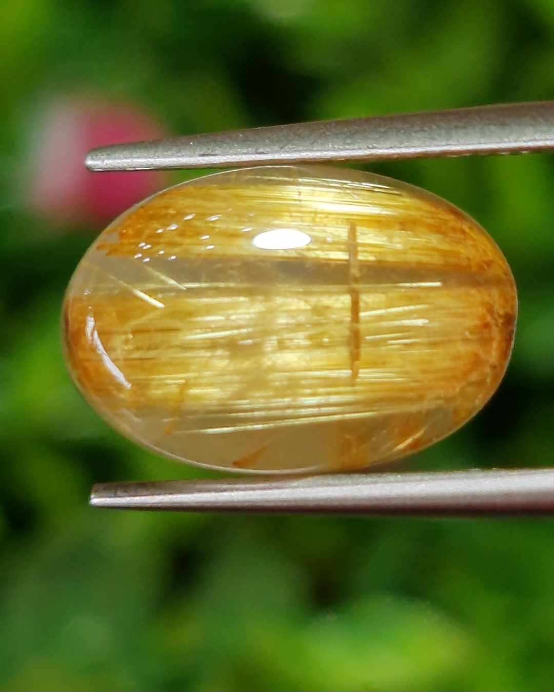 ตาแมว ไหมทอง ควอตซ์ Cat eye Golden Rutilated Quartz 6.98 กะรัต Cts.พลอยแท้ อัญมณีมงคลประจําวันเกิด เครื่องประดับพลอย