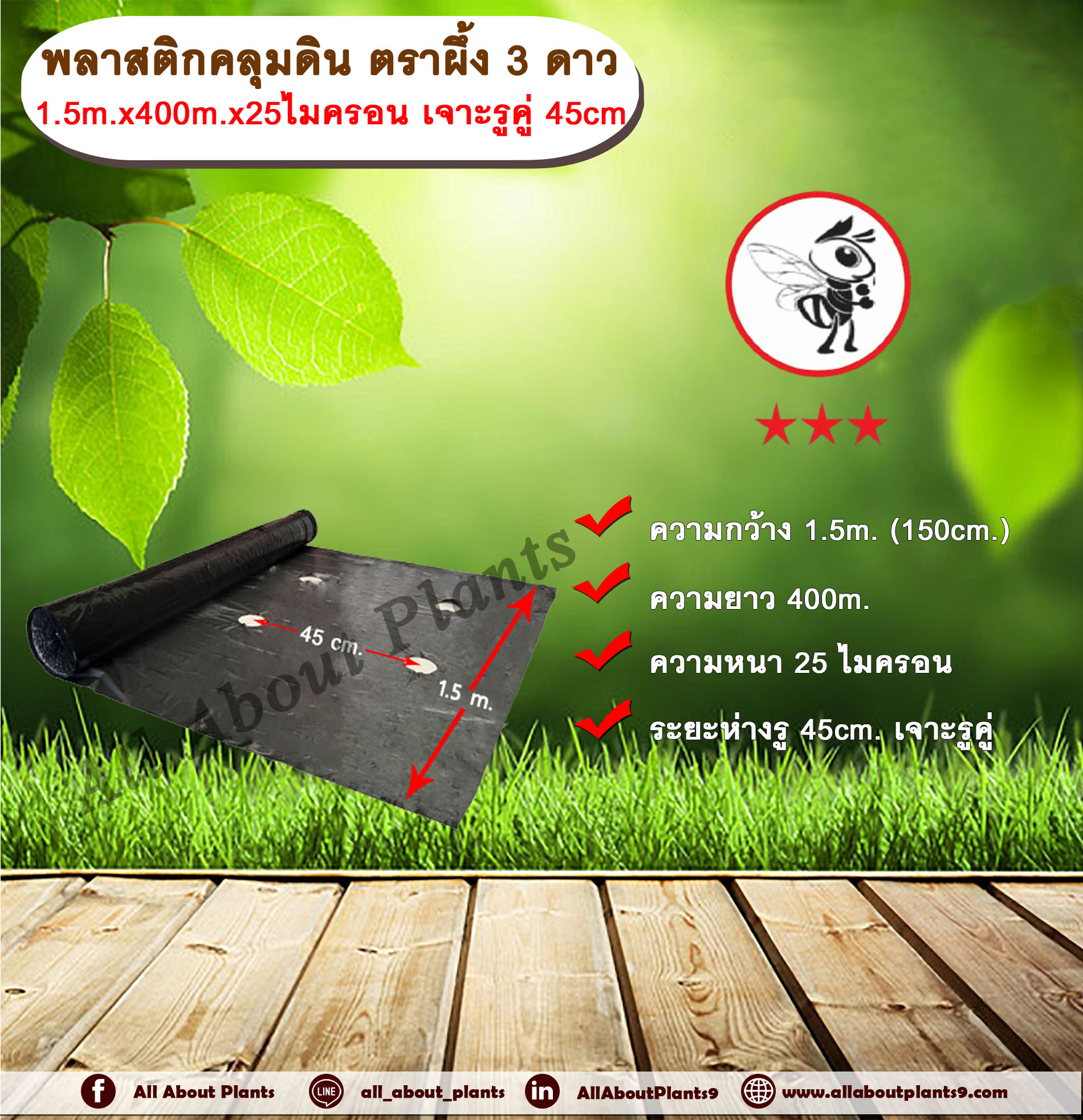 พลาสติกคลุมดิน ตราผึ้ง 3 ดาว กว้าง 1.5 เมตร ยาว 400 เมตร หนา 25 ไมครอน เจาะรูคู่ 45 เซนติเมตร พลาสติกคลุมแปลง ผ้าคลุมดิน ผ้าคลุมแปลง คลุมแปลงเกษตร คลุมแปลงเพาะปลูก ม้วน