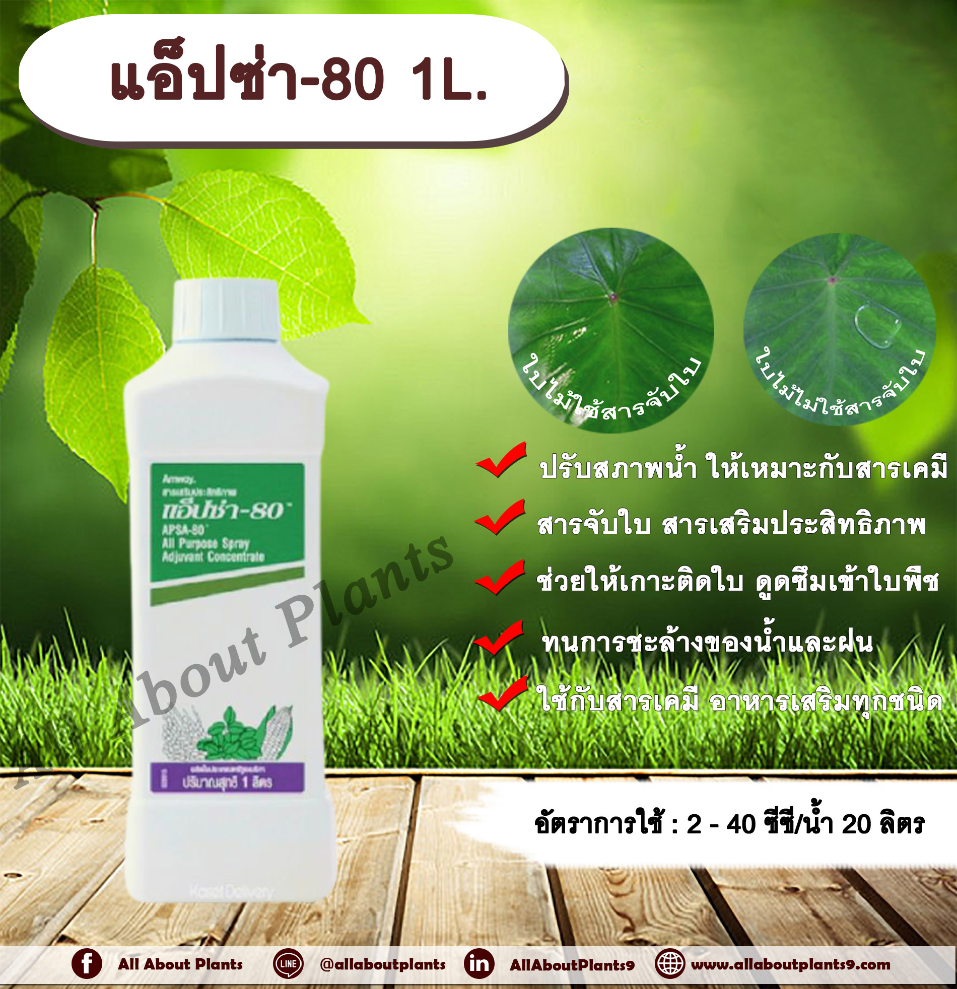 แอ็ปซ่า-80 1L. สารจับใบ สารเคลือบใบ สารเสริมเพิ่มประสิทธิภาพ สารเคลือบใบ ยึดติดใบ เป็นตัวแผ่กระจายสาร ทนการชะล้างของน้ำและฝน เพิ่มประสิทธิภาพสารกำจัดแมลง สารกำจัดวัชพืช สารกำจัดโรคพืช ปุ๋ย อาหารเสริม allaboutplants ชิ้น