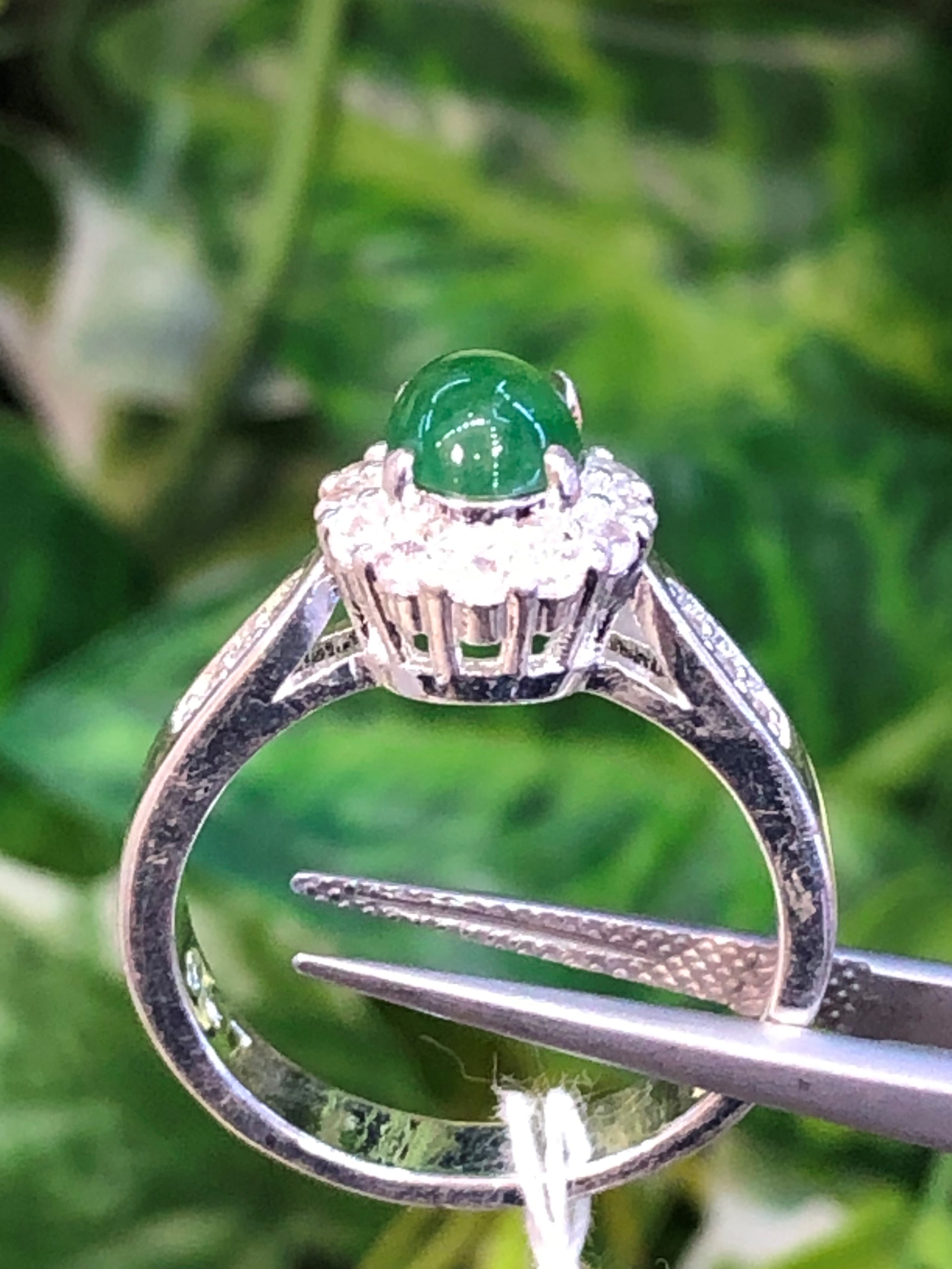 หยก พม่า แท้ Jade แหวนหยก (jadeite Ring) ดิบ (Size) 59 ไม่ผ่านการปรับปรุง (Type A) พม่า (Myanmar)