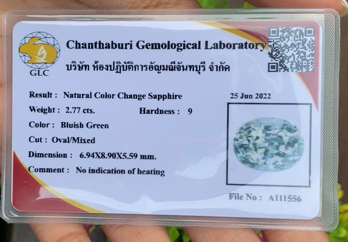 พลอย คัลเลอร์เชนจ์ แซฟไฟร์ Color Change Sapphire 2.77 กะรัต (Cts.) ดิบ พร้อมใบเซอร์ พลอยแท้ อัญมณีมงคลประจําวันเกิด เครื่องประดับพลอย