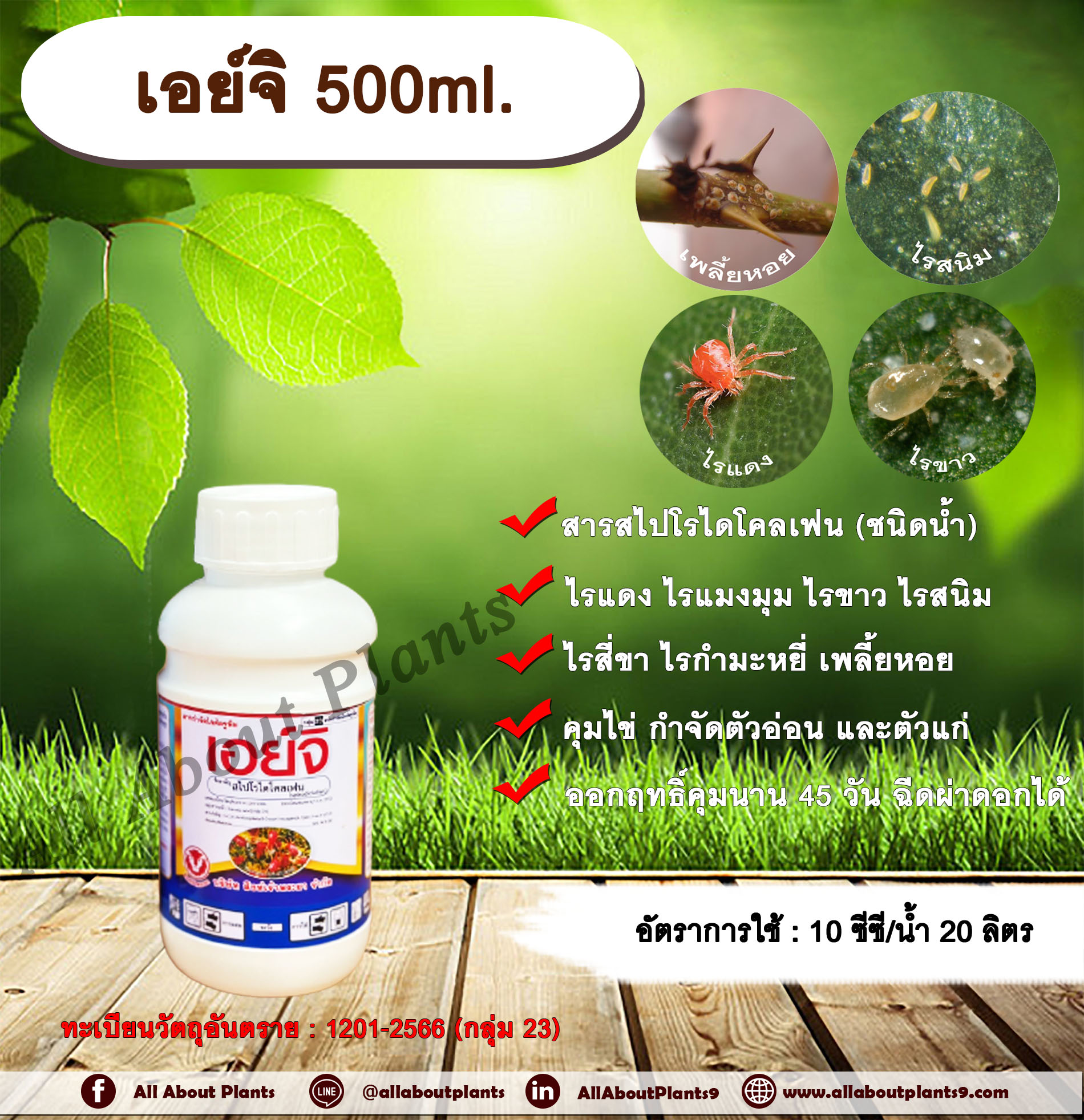 เอย์จิ 500ml. สไปโรไดโคลเฟน สารกำจัดไร ไรแดง ไรแมงมุม ไรขาว ไรสี่ขา ไรสนิม ไรกำมะหยี่ เพลี้ยหอย ฉีดพ่นผ่าดอกได้ ขวด