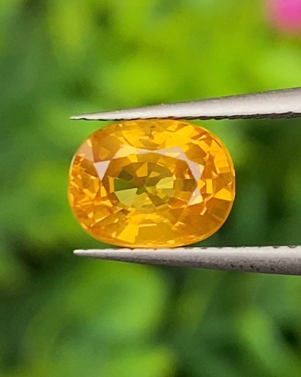 พลอย บุษราคัม yellow sapphire 1.51 กะรัต (Cts.) พลอยแท้ อัญมณีมงคลประจําวันเกิด เครื่องประดับพลอย