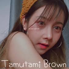 Dream color สีน้ำตาล