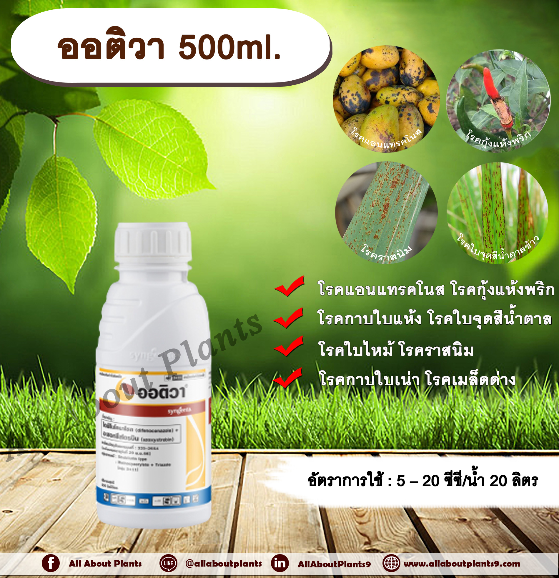 ออติวา 500ml. ไดฟีโนโคนาโซล+อะซอกซีสโตรบิน สารป้องกันกำจัดโรคพืช กำจัดเชื้อรา โรคกาบใบแห้ง กาบใบเน่า ใบจุดสีน้ำตาล โรคเมล็ดด่าง โรคแอนแทคโนส โรคกุ้งแห้งพริก โรคราสนิม โรคใบไหม้ โรคใบจุด ซินเจนทา allaboutplants ชิ้น