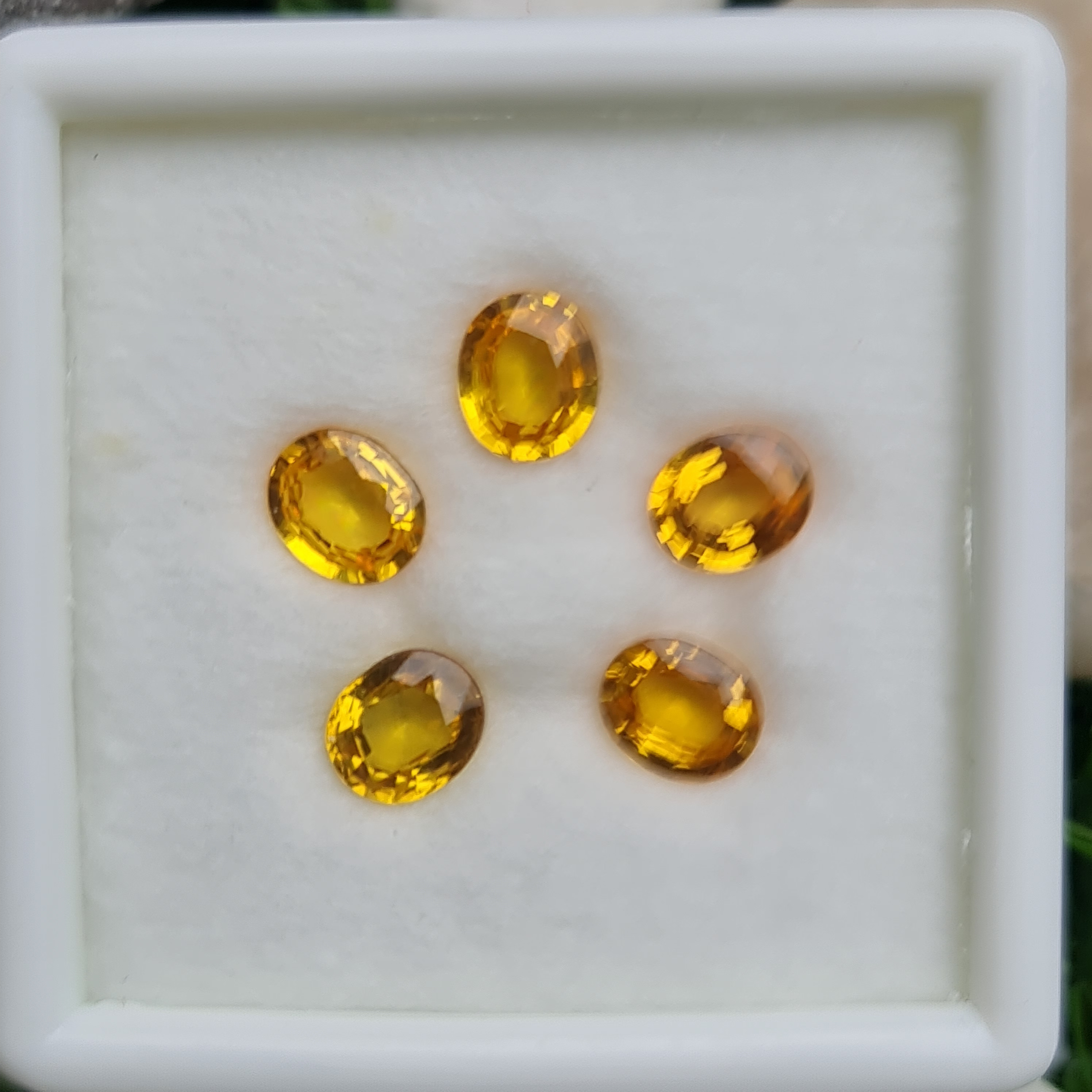 พลอย บุษราคัม yellow sapphire 3.66 กะรัต (Cts.) 5 เม็ด (Pcs.) พลอยแท้ อัญมณีมงคลประจําวันเกิด เครื่องประดับพลอย