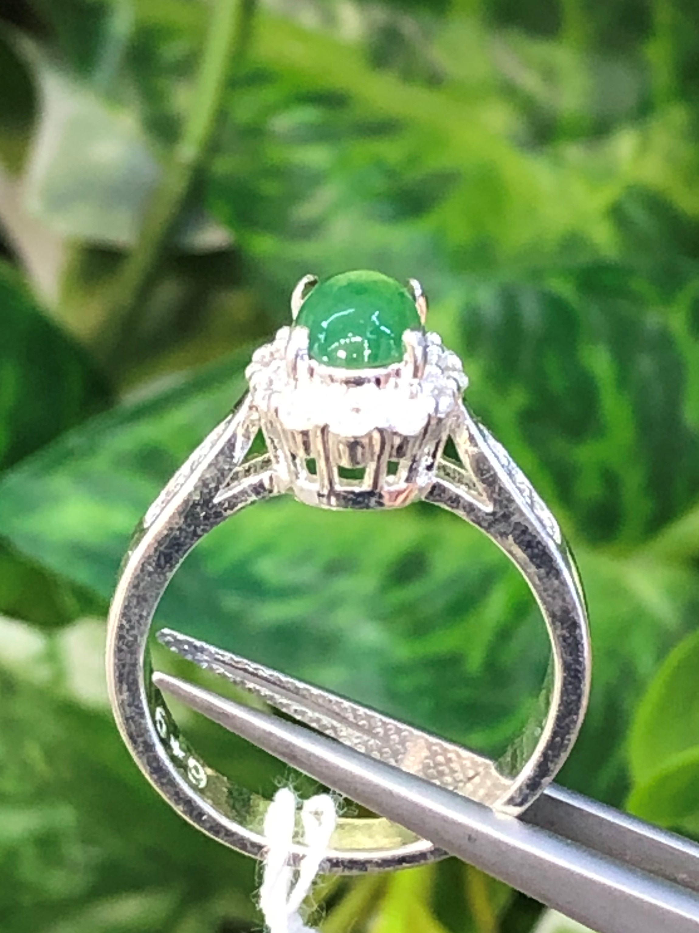 หยก พม่า แท้ Jade แหวนหยก (jadeite Ring) ดิบ (Size) 59 ไม่ผ่านการปรับปรุง (Type A) พม่า (Myanmar)