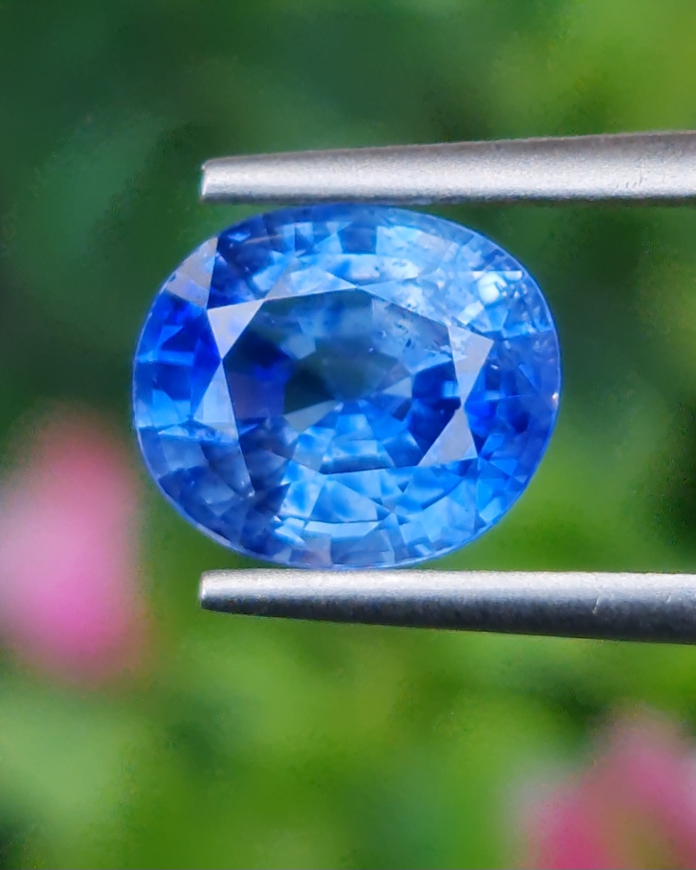 พลอย ไพลิน Blue Sapphire 2.48 กะรัต (Cts.) พร้อมใบเซอร์ พลอยแท้ อัญมณีมงคลประจําวันเกิด เครื่องประดับพลอย