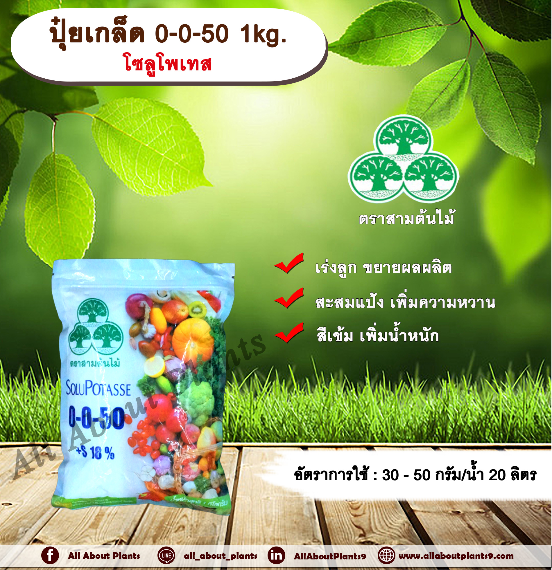 โซลูโพแทส 0-0-50 1kg. เร่งลูกเร่งผล ขยายผล เพิ่มแป้ง เพิ่มความหวาน เพิ่มน้ำหนัก โพแทสเซียมซัลเฟต เพิ่มขนาดหัวมันสำปะหลัง allaboutplants ชิ้น