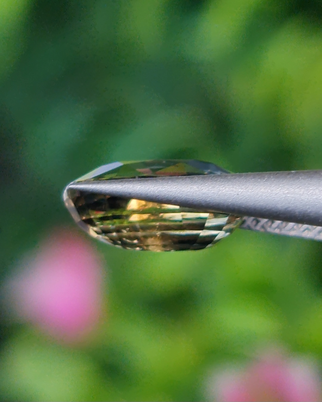 พลอย แซฟไฟร์ 2 สี Bi-Color Sapphire 2.05 กะรัต (Cts.) พลอยแท้ อัญมณีมงคลประจําวันเกิด เครื่องประดับพลอย