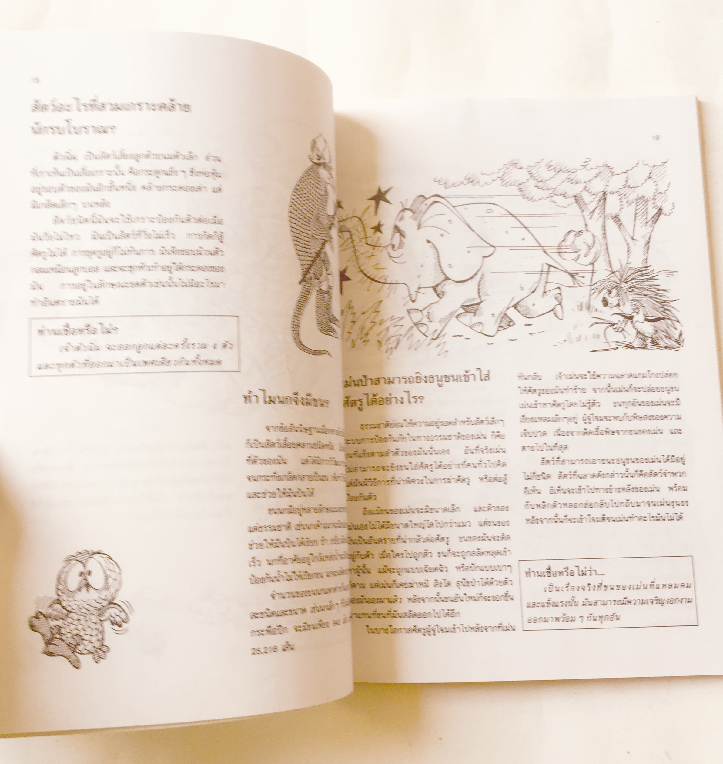 หนังสือภาพ การ์ตูนวิทยาศาสตร์น่าทึ่ง ชุด สัตว์โลกมหัศจรรย์ เสริมสร้างประสบการณ์ชีวิต หัดวาดภาพการ์ตูนจากภาพประกอบเรื่อง โดย สัมพันธ์ ก้องสมุทร