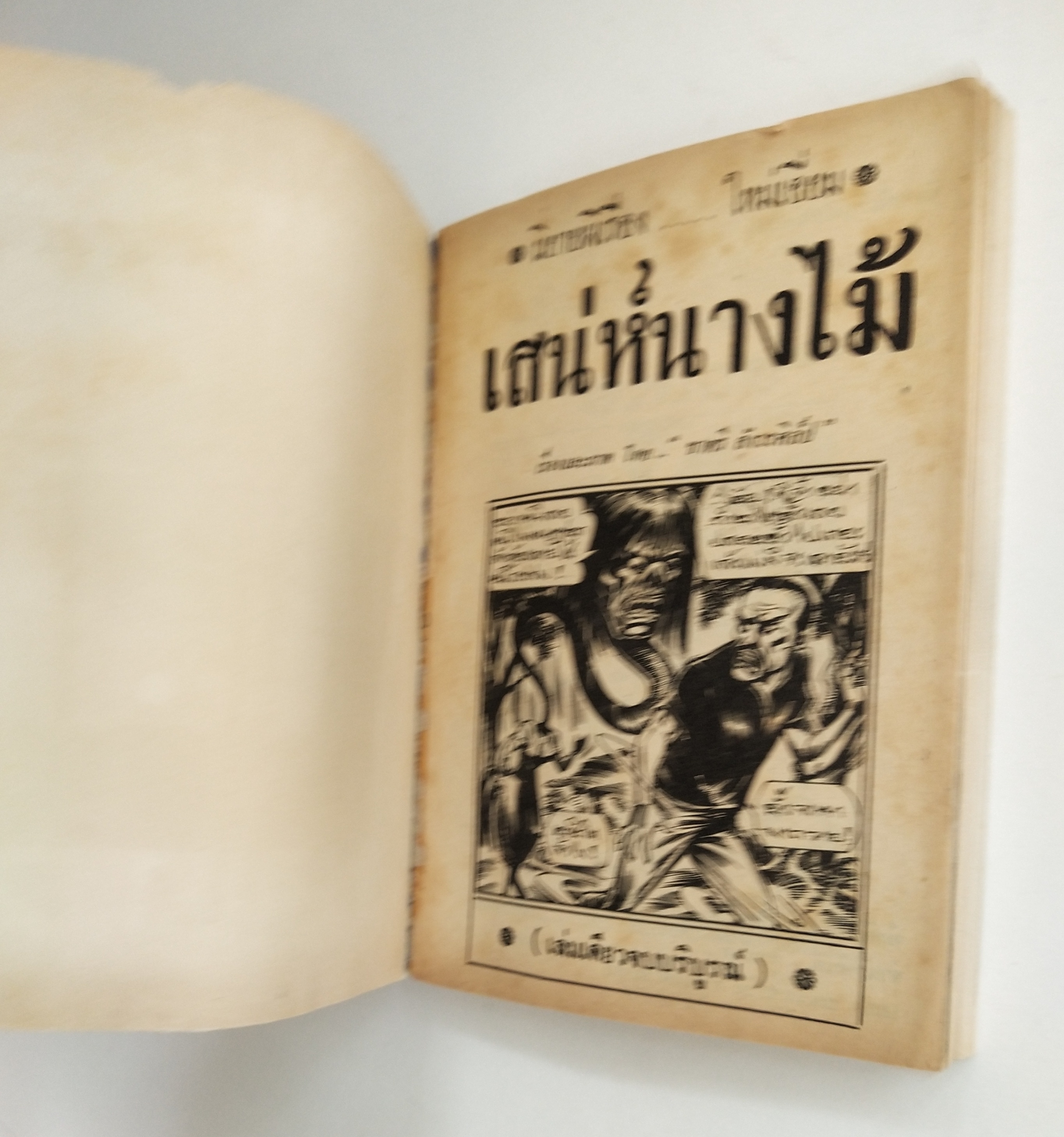 มีหลายภาพ หนังสือการ์ตูนไทยเก่า **มีตำหนิบ้าง เสน่ห์นางไม้ เล่มเดียวจบ โดย ชาตรี สังวรศิลป์