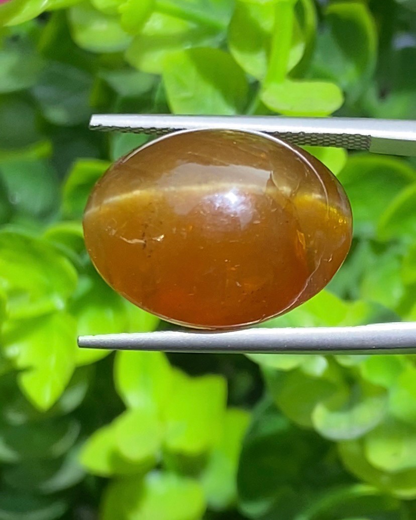 พลอย ตาแมว อะพาไทต์ Cat eye Apatite 25.00 กะรัต (Cts.) พลอยแท้ อัญมณีมงคลประจําวันเกิด เครื่องประดับพลอย