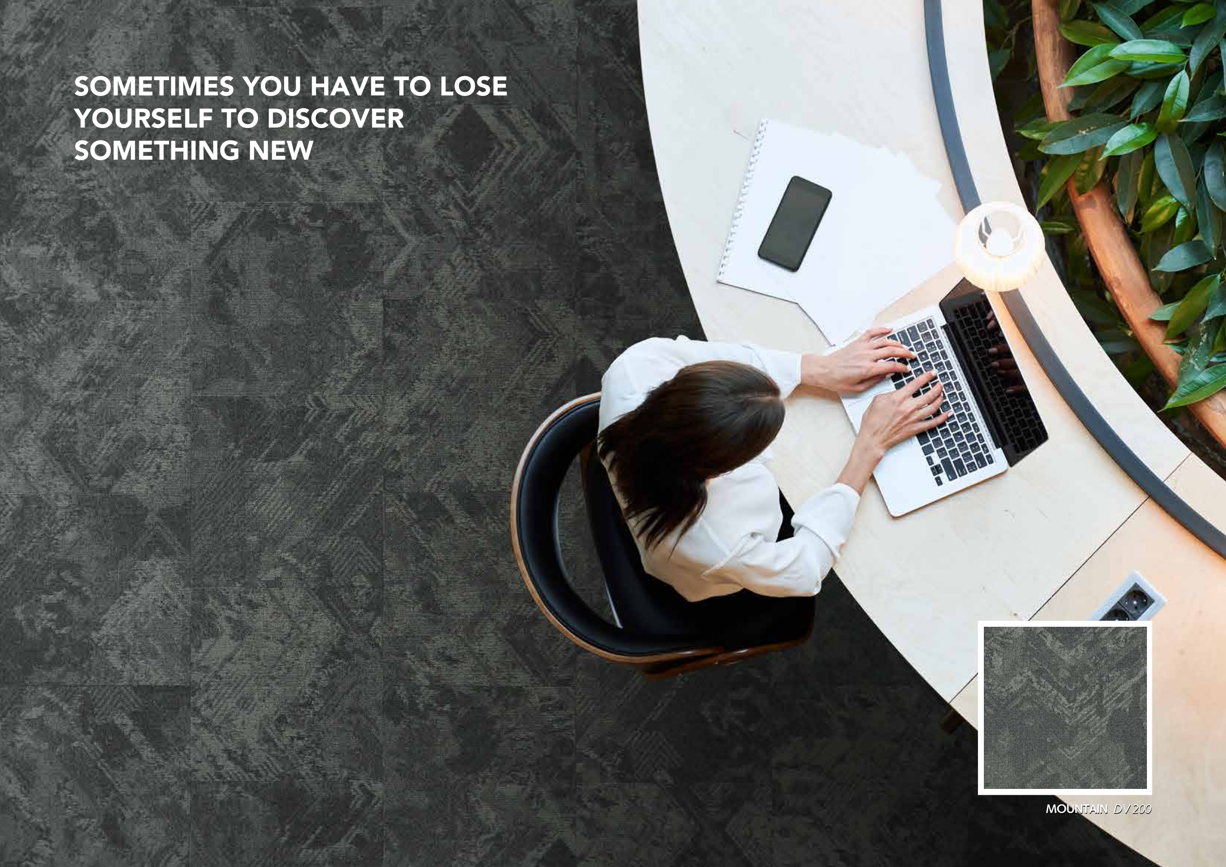 DISCOVER DV102 Calligraphy