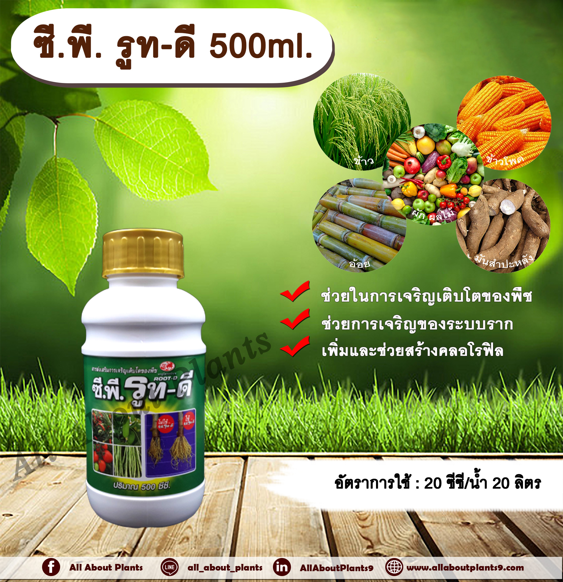 ซี.พี. รูท-ดี 500ml. เร่งราก รากแตกเยอะ ใบเขียว ขยายราก allaboutplants ชิ้น