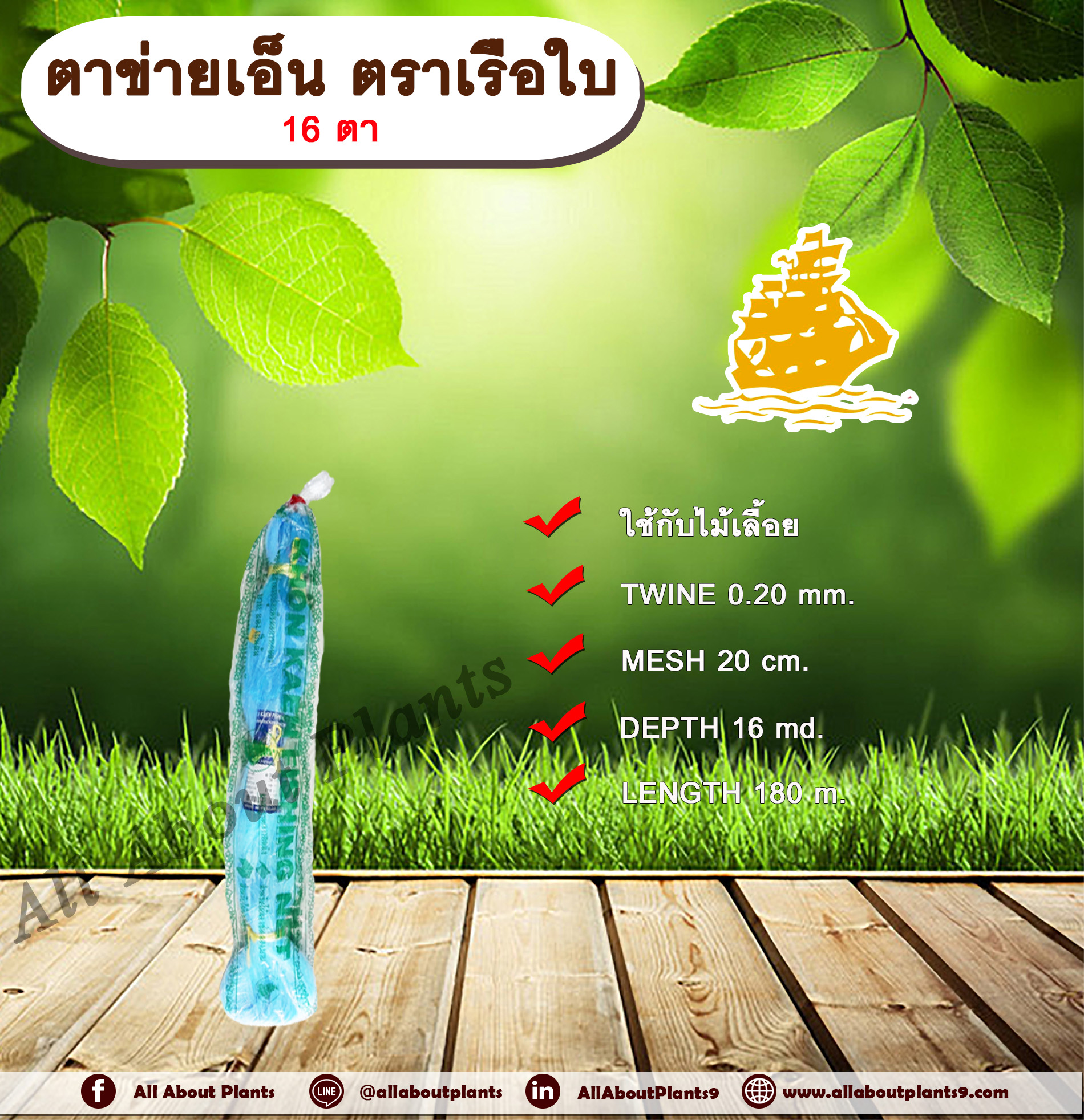 ตาข่ายเอ็น ตราเรือใบ 16 ตา ตาข่ายแตง ขึงแตง เอ็นขึงแตง ค้างแตง ค้างบวบ มะระ บวบ ถั่ว ปลูกพืชไม้เลื้อย พืชผักต่างๆ เอ็นเรือใบ allaboutplants ชิ้น