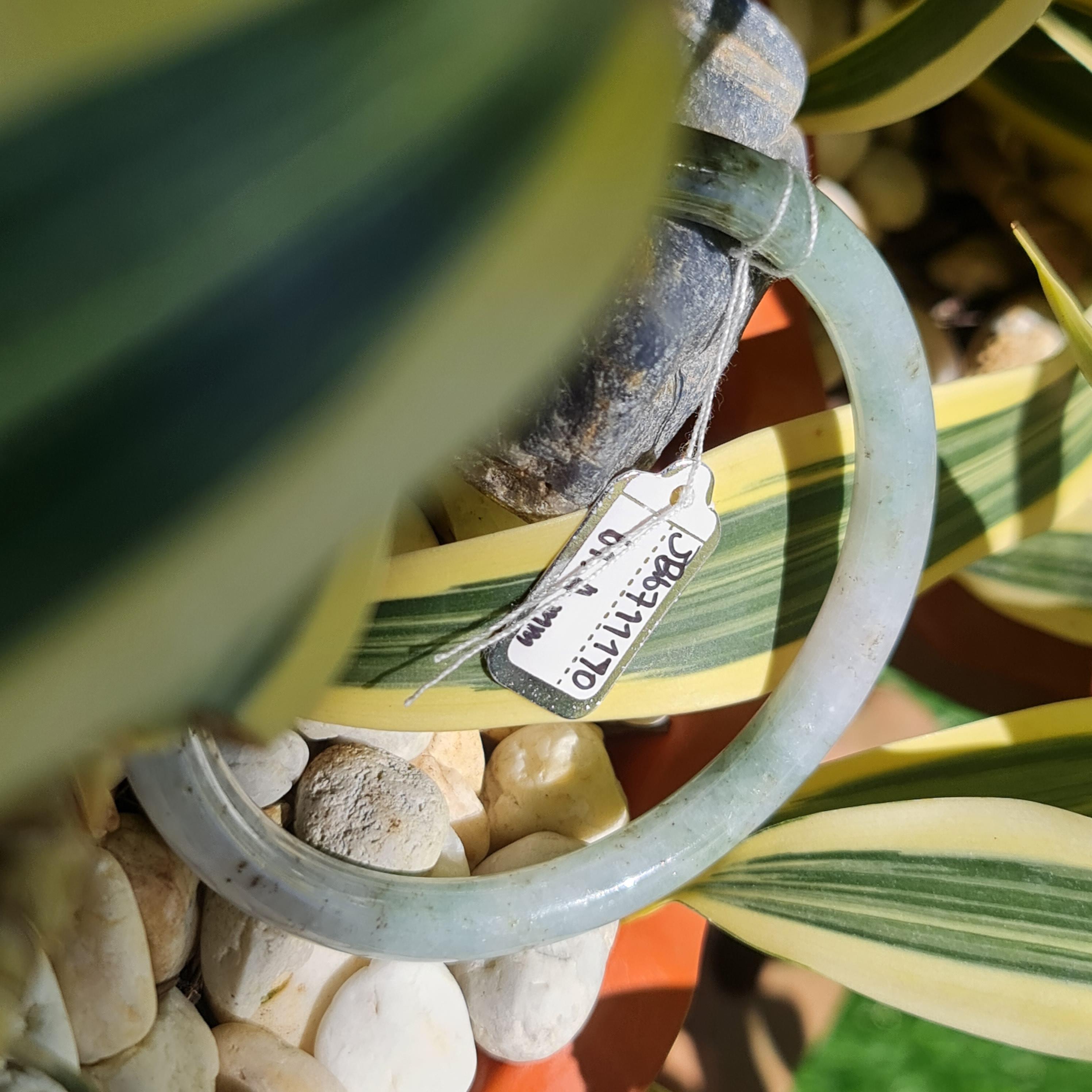 JB6711170 หยก พม่า แท้ Jade กำไลหยก 61.4 มม. (Jadeite bracelet) พม่า (Myanmar)