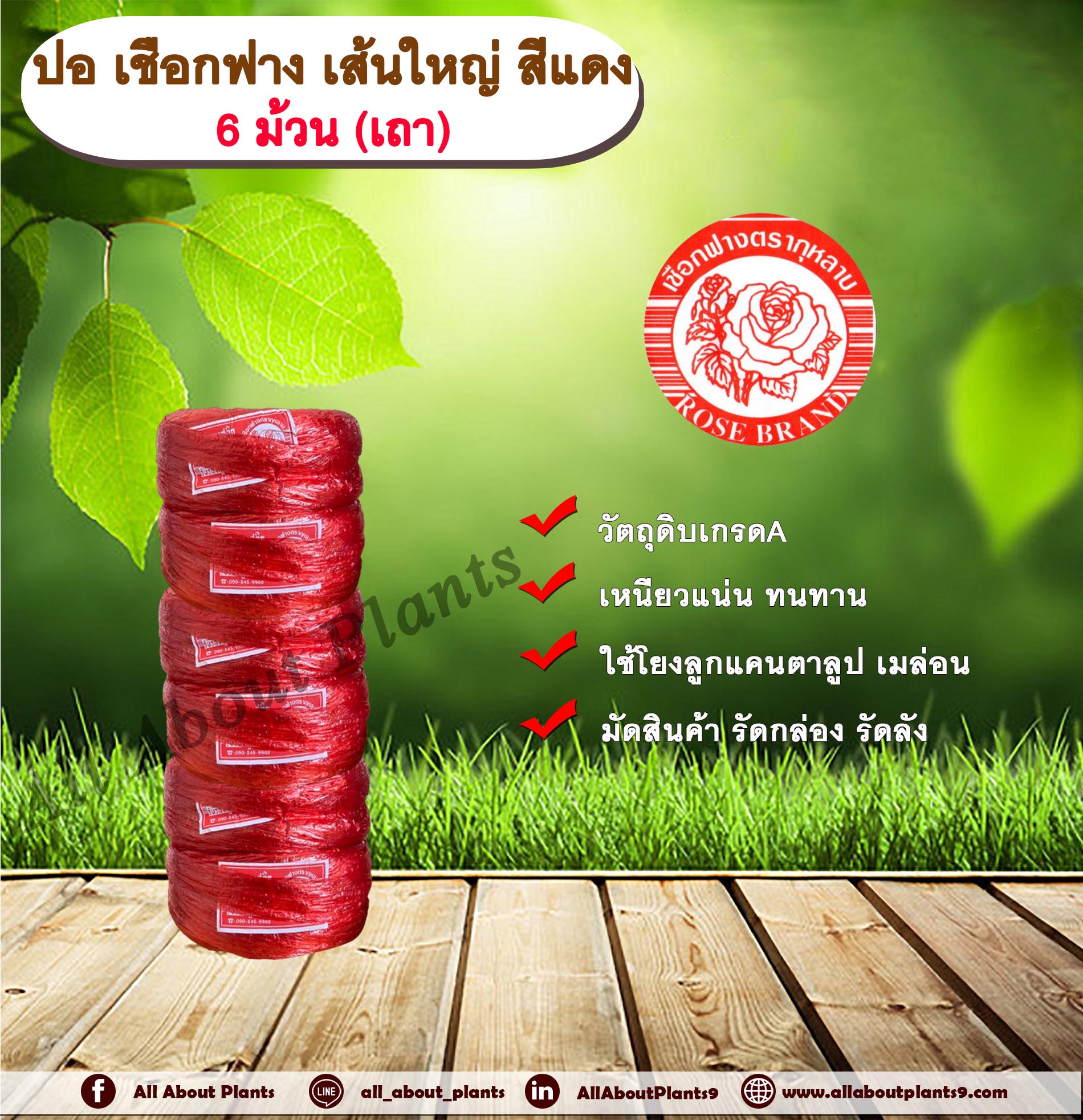 ปอ เชือกฟาง เส้นใหญ่ ตรากุหลาบ สีแดง เถา(6 ม้วน) ปอกุหลาบเส้นใหญ่ เชือกฟางเส้นใหญ่ ใช้โยงลูกแคนตาลูป เมล่อน มัดสินค้า มัดกล่อง มัดลัง เถา