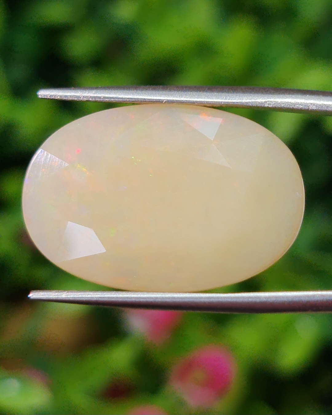 พลอย ไวท์ โอปอล White Opal 12.80 กะรัต (Cts.) พลอยแท้ อัญมณีมงคลประจําวันเกิด เครื่องประดับพลอย