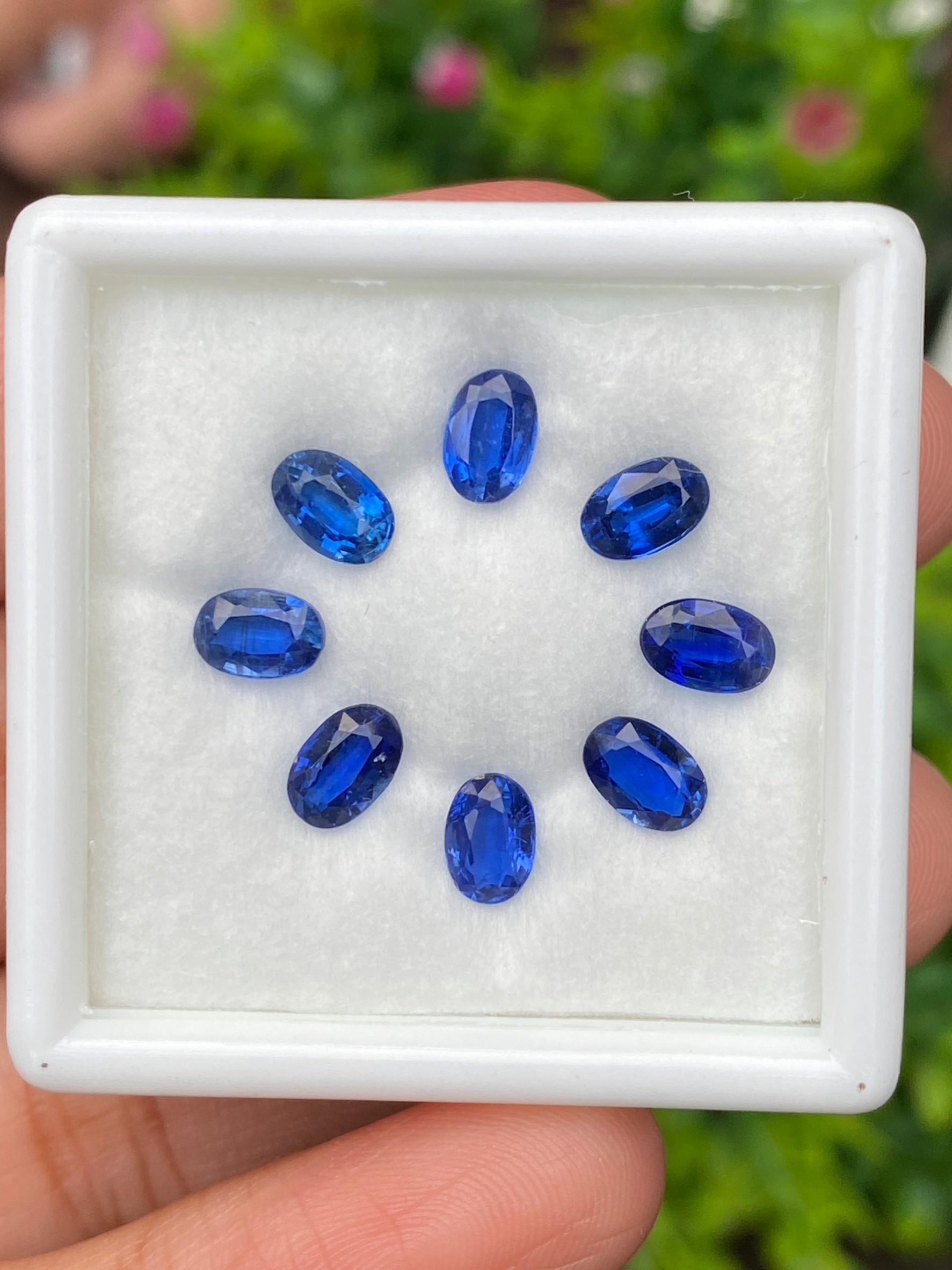 พลอย ไคยาไนต์ Kyanite 4.56 กะรัต (Cts.) 8 เม็ด พลอยแท้ อัญมณีมงคลประจําวันเกิด เครื่องประดับพลอย