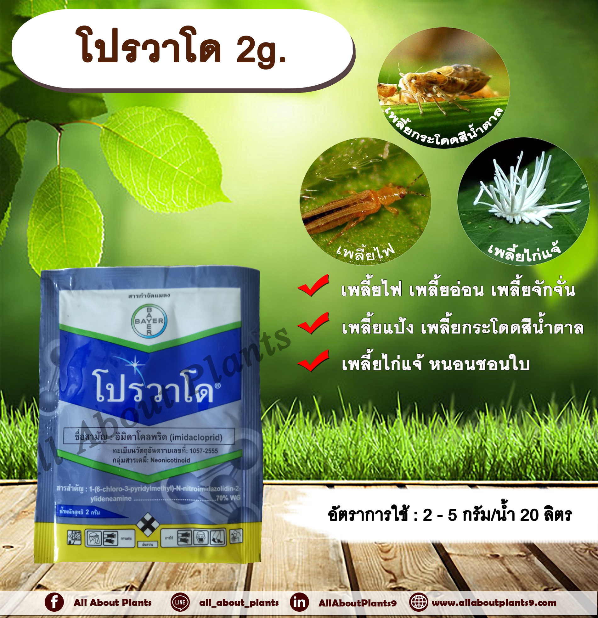 โปรวาโด 2g. อิมิดาโคลพริด สารกำจัดแมลง กำจัดเพลี้ยไฟ เพลี้ยอ่อน เพลี้ยแป้ง เพลี้ยกระโดด แมลงหวี่ขาว หนอนชอนใบ ดูดซึม allaboutplants ชิ้น