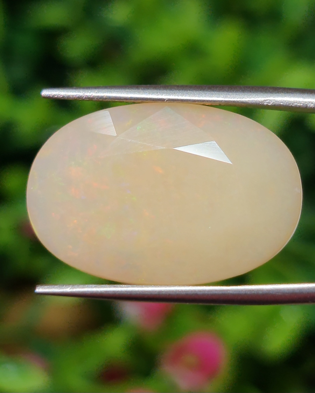 พลอย ไวท์ โอปอล White Opal 12.80 กะรัต (Cts.) พลอยแท้ อัญมณีมงคลประจําวันเกิด เครื่องประดับพลอย