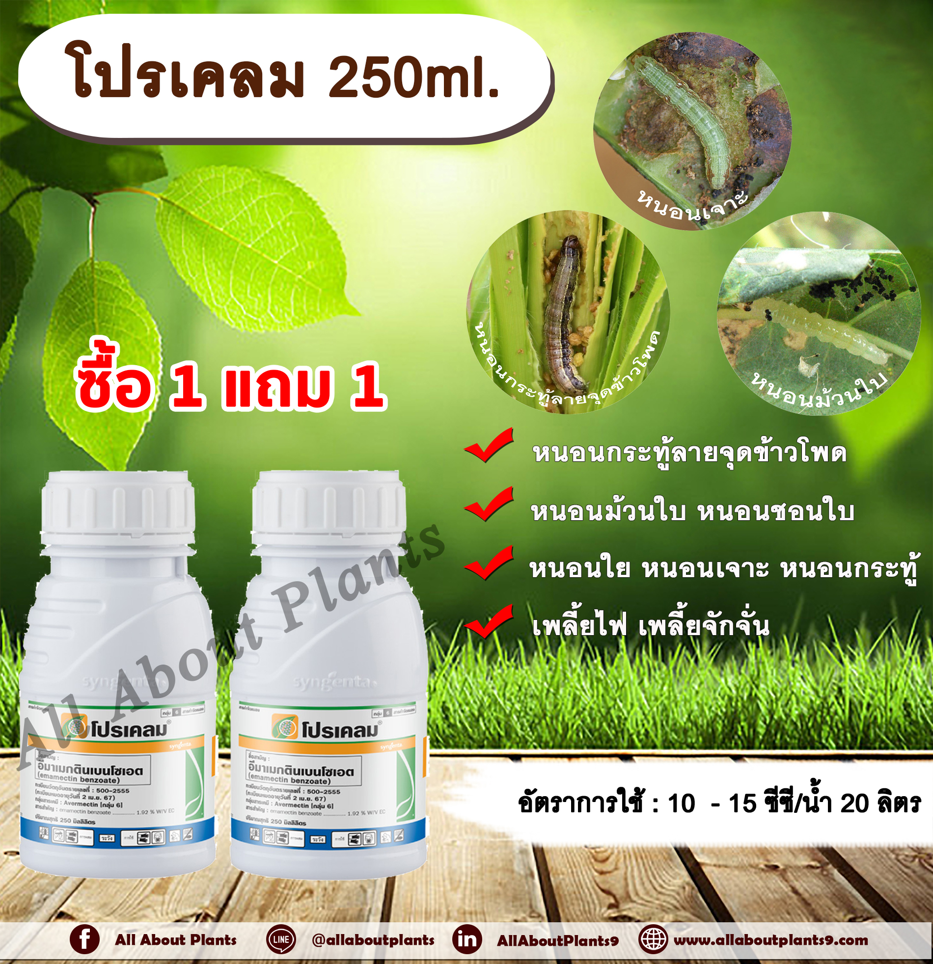 โปรเคลม 250ml. อีมาเมกตินเบนโซเอต ซื้อ 1 แถม 1 สารกำจัดแมลง กำจัดหนอน หนอนกระทู้ลายจุดข้าวโพด หนอนม้วนใบ หนอนชอนใบ หนอนเจาะ หนอนใย หนอนกระทู้ allaboutplants ชิ้น