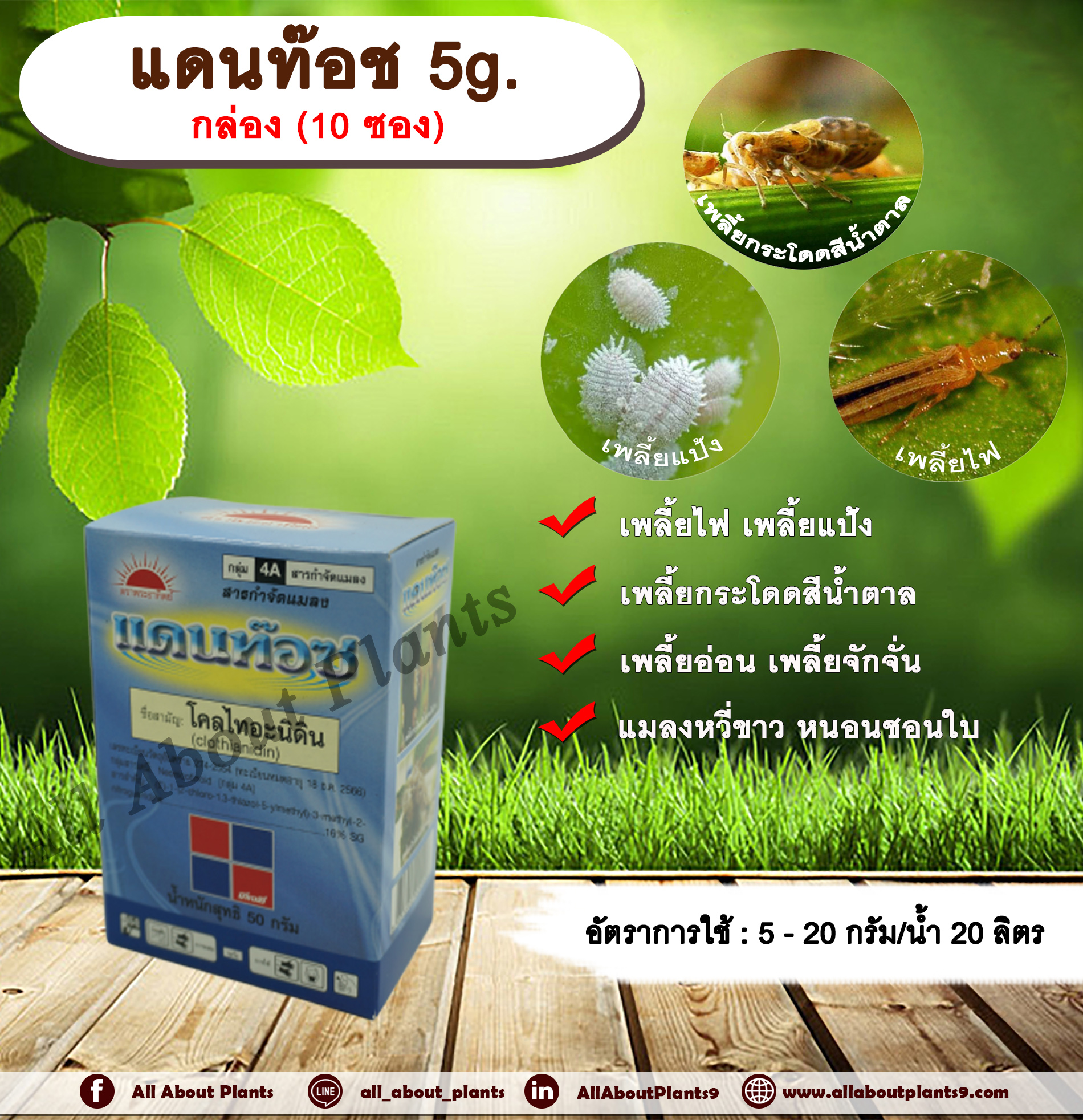 แดนท๊อช 5g. 1 กล่อง 10 ซอง โคลไทอะนิดิน สารกำจัดแมลง เพลี้ยไฟ เพลี้ยแป้ง เพลี้ยอ่อน แมลงหวี่ขาว หนอนชอนใบ ทีเจซี ดูดซึม allaboutplants ชิ้น