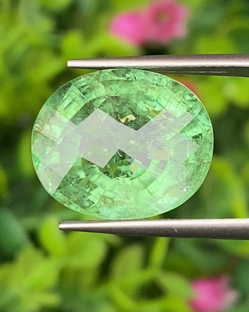 พลอย พาไรบ้า ทัวร์มาลีน Paraiba Tourmaline 13.99 กะรัต (Cts.) พร้อมใบเซอร์ พลอยแท้อัญมณีมงคล ประจําวันเกิด เครื่องประดับพลอย