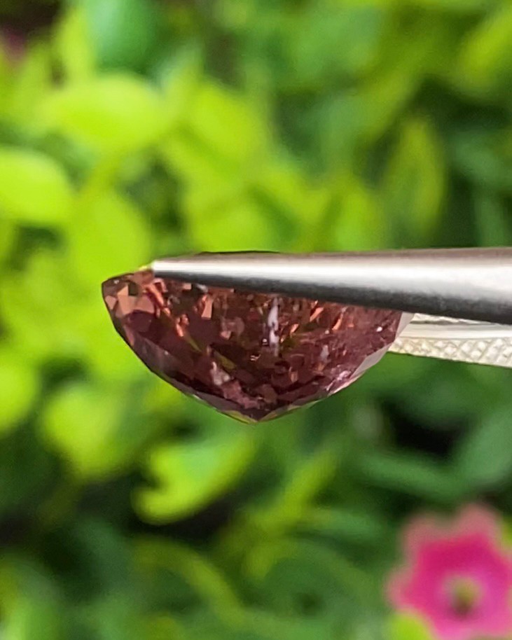 พลอย ทัวร์มาลีน Tourmaline 7.79 กะรัต (Cts.) พลอยแท้ อัญมณีมงคลประจําวันเกิด เครื่องประดับพลอย