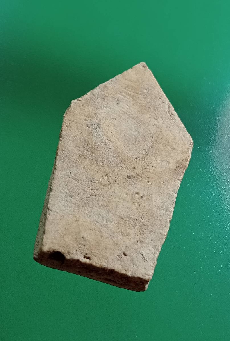 ผ3048 พระผง พระนาคปรก ไม่ทราบที่