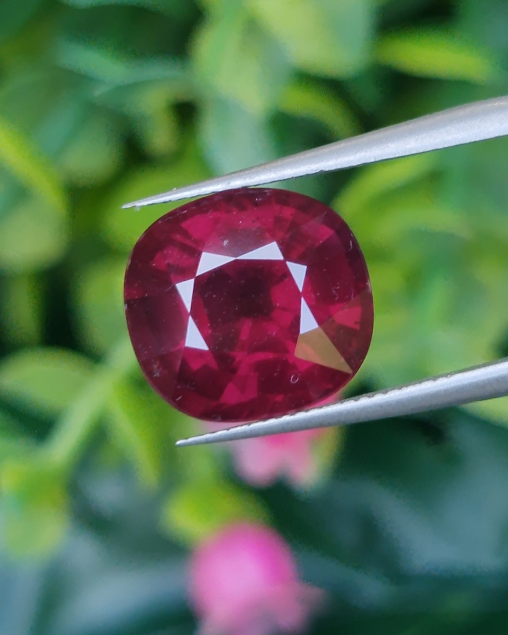 พลอย โรโดไลต์ กาเน็ท Rhodolite Garnet 7.52 กะรัต Cts.พลอยแท้ อัญมณีมงคลประจําวันเกิด เครื่องประดับพลอย