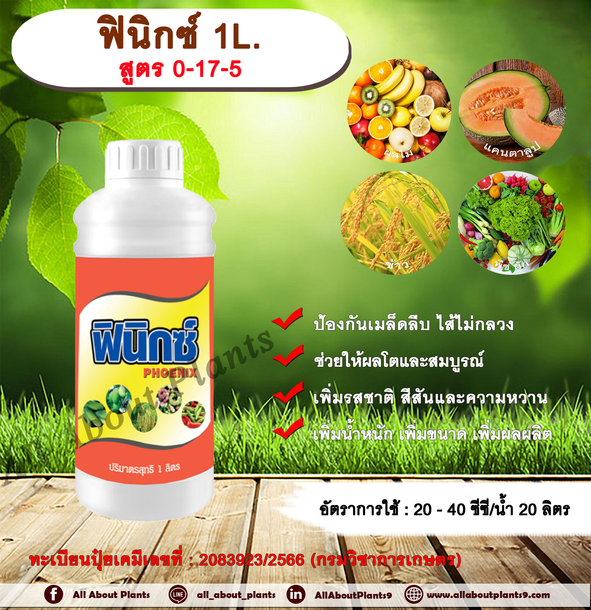 ฟินิกซ์ 1L.ธาตุอาหารรอง ธาตุอาหารเสริม ป้องกันเมล็ดลีบ ไส้ไม่กลวง เนื้อแน่น ผลโต ผลสมบูรณ์ เพิ่มรสชาติ สีสวย หวาน รสชาติดี เพิ่มน้ำหนัก เพิ่มขนาด เพิ่มผลผลิต allaboutplants ชิ้น