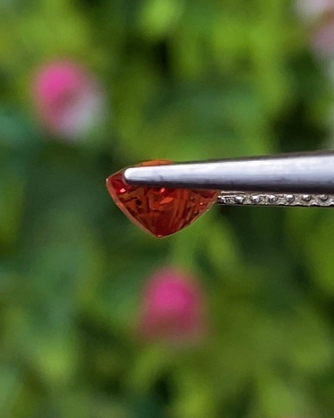 พลอย ออเรนจ์ แซฟไฟร์ Orange Sapphire 0.80 กะรัต (Cts.) พลอยแท้ อัญมณีมงคลประจําวันเกิด เครื่องประดับพลอย