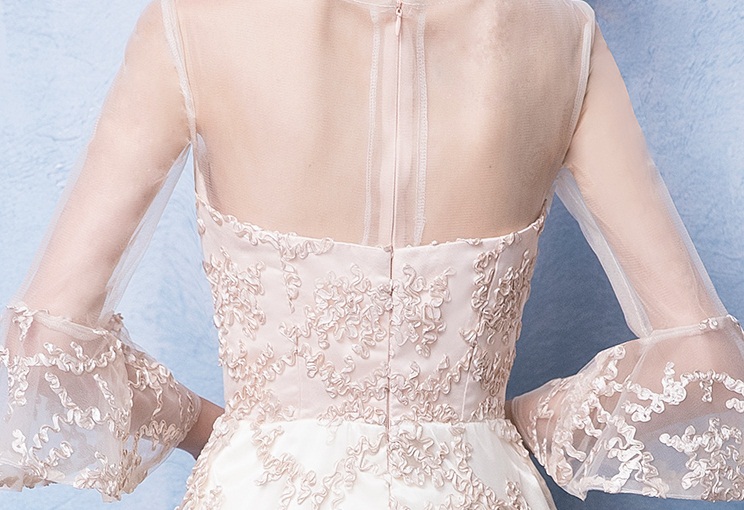 Pre-order ชุดราตรียาวแขนยาวปักดิ้นเป็นลาย ซีทรูช่วงไหล่และแขน ซิปหลัง สวยหรู