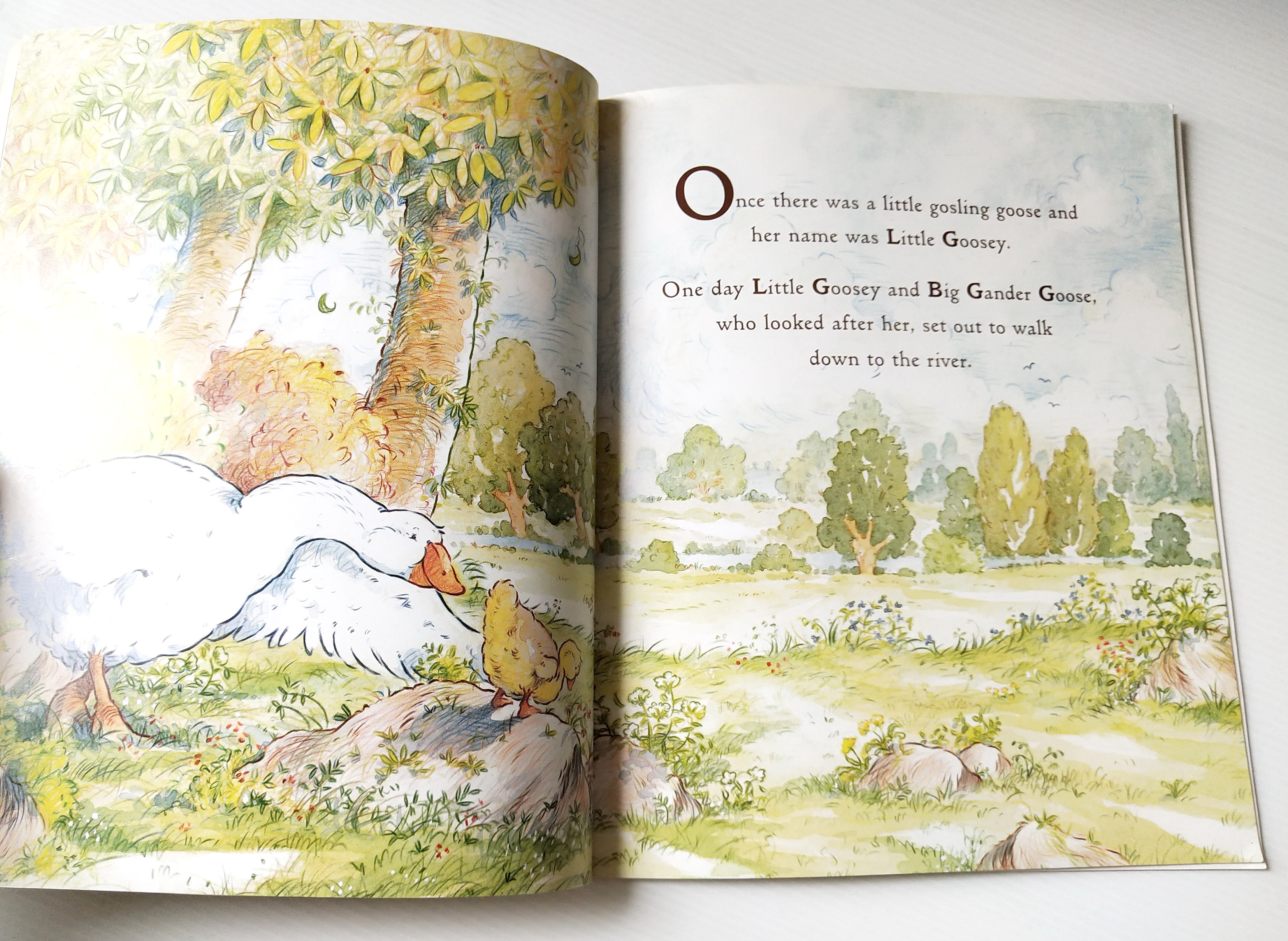 หนังสือนิทานฉบับภาษาอังกฤษ เรื่องราวของครอบครัวห่าน และห่านน้อย จาก SAM MCBRATNEY,"Just You and Me" ภาพโดย Ivan Bates