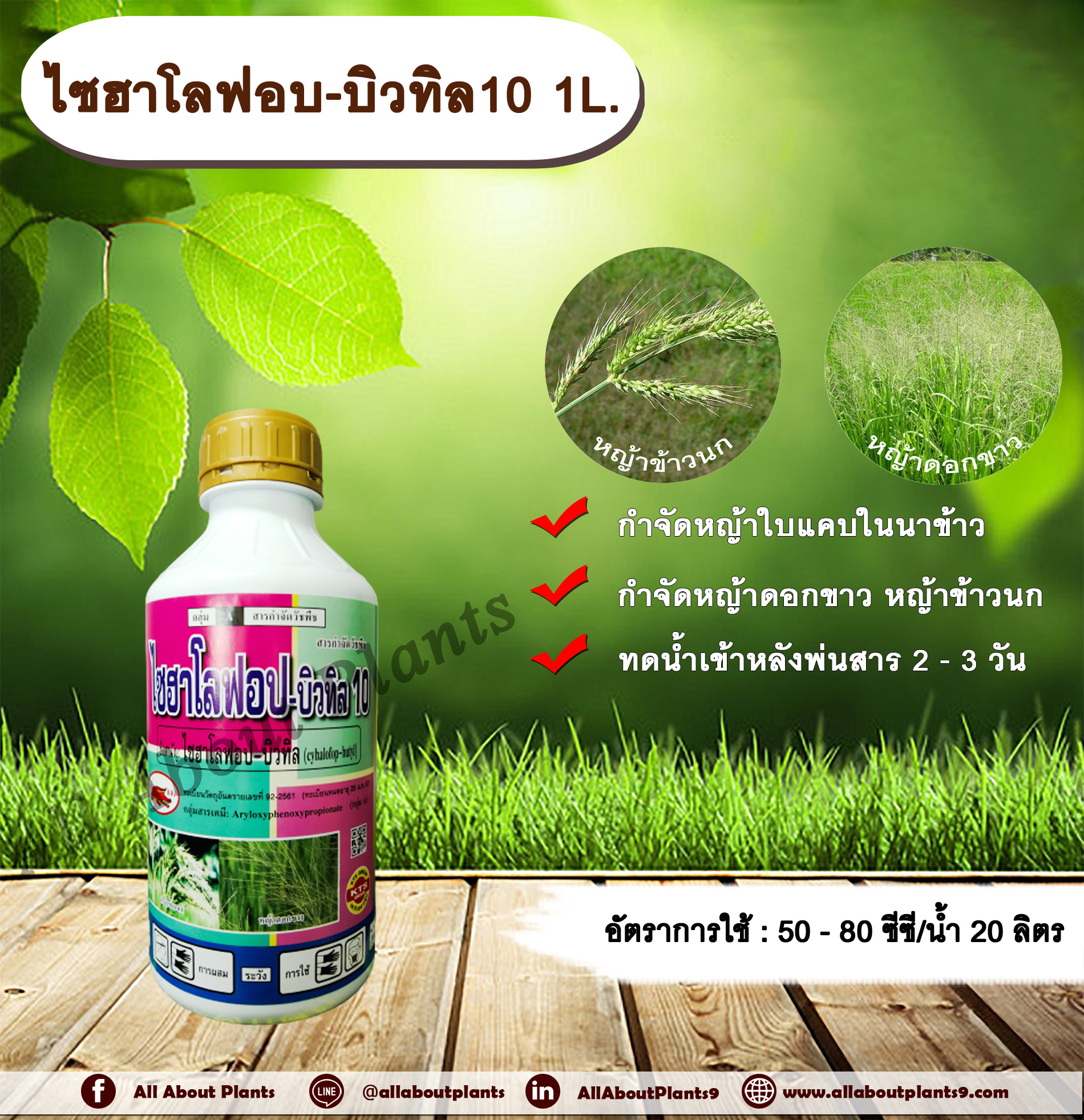 ไซฮาโลฟอบ-บิวทิล 10 1L. สารกำจัดวัชพืช สารกำจัดหญ้า ในนาข้าว หญ้าใบแคบ หญ้าดอกขาว หญ้าข้าวนก allaboutplants ชิ้น