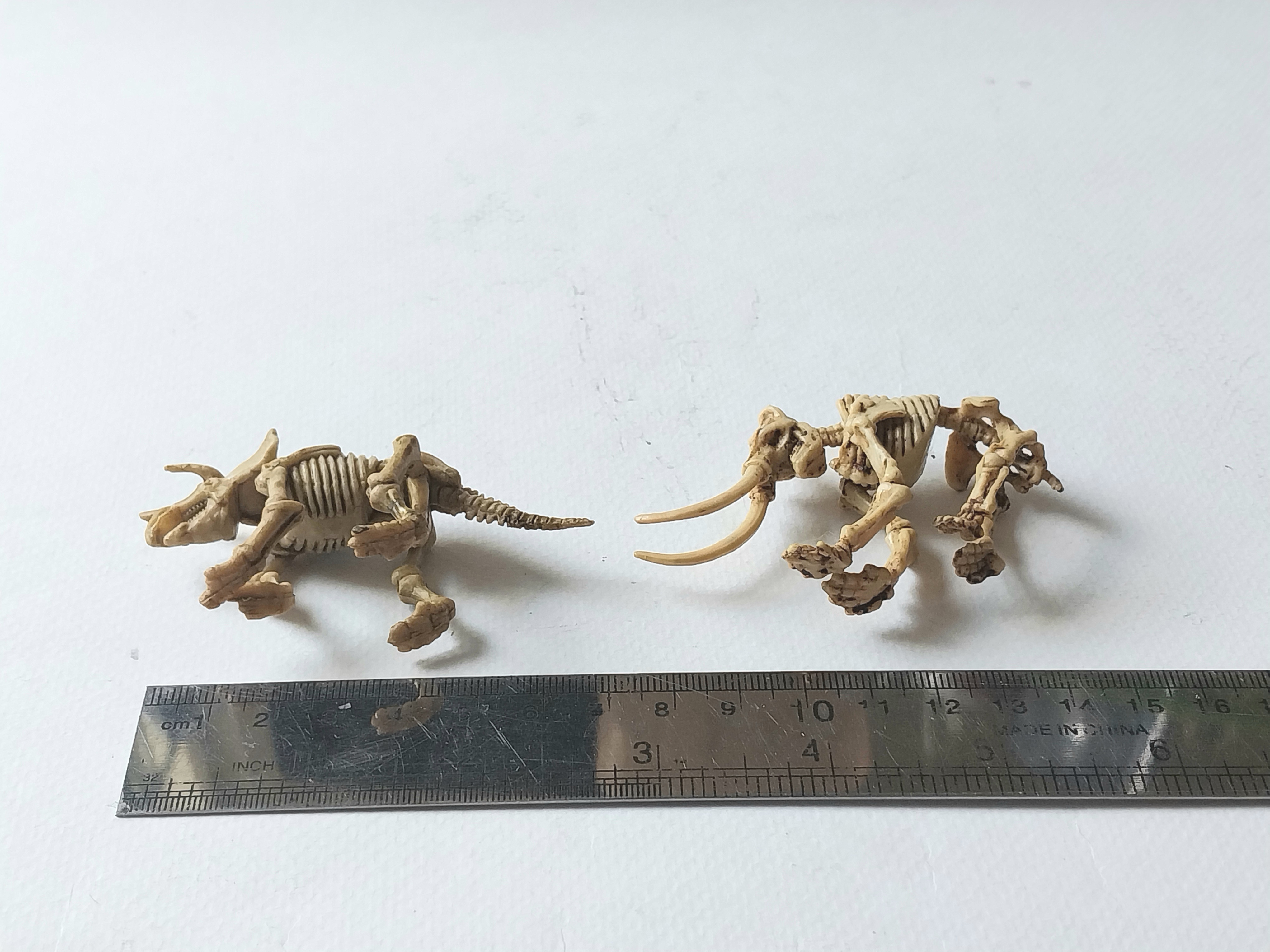 มีหลายภาพ, โครงกระดูก ไดโนเสาร์และช้างแมมมอธ ขนาดตามภาพ
