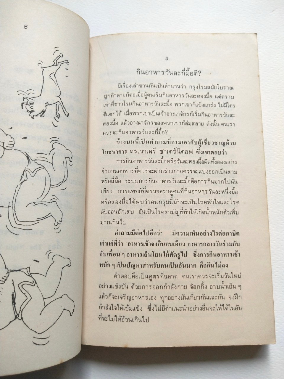 หนังสือเก่า 2529 **มีรอยเขียนชื่อหน้าแรก และมีตำหนิหน้า 199 สันห่าง "ริมสวน2" โดย คนเดิม ปก แม้ทซ์บ๊อกซ์ จากการ์ตูนต้นฉบับของแพ็ท ลลนา